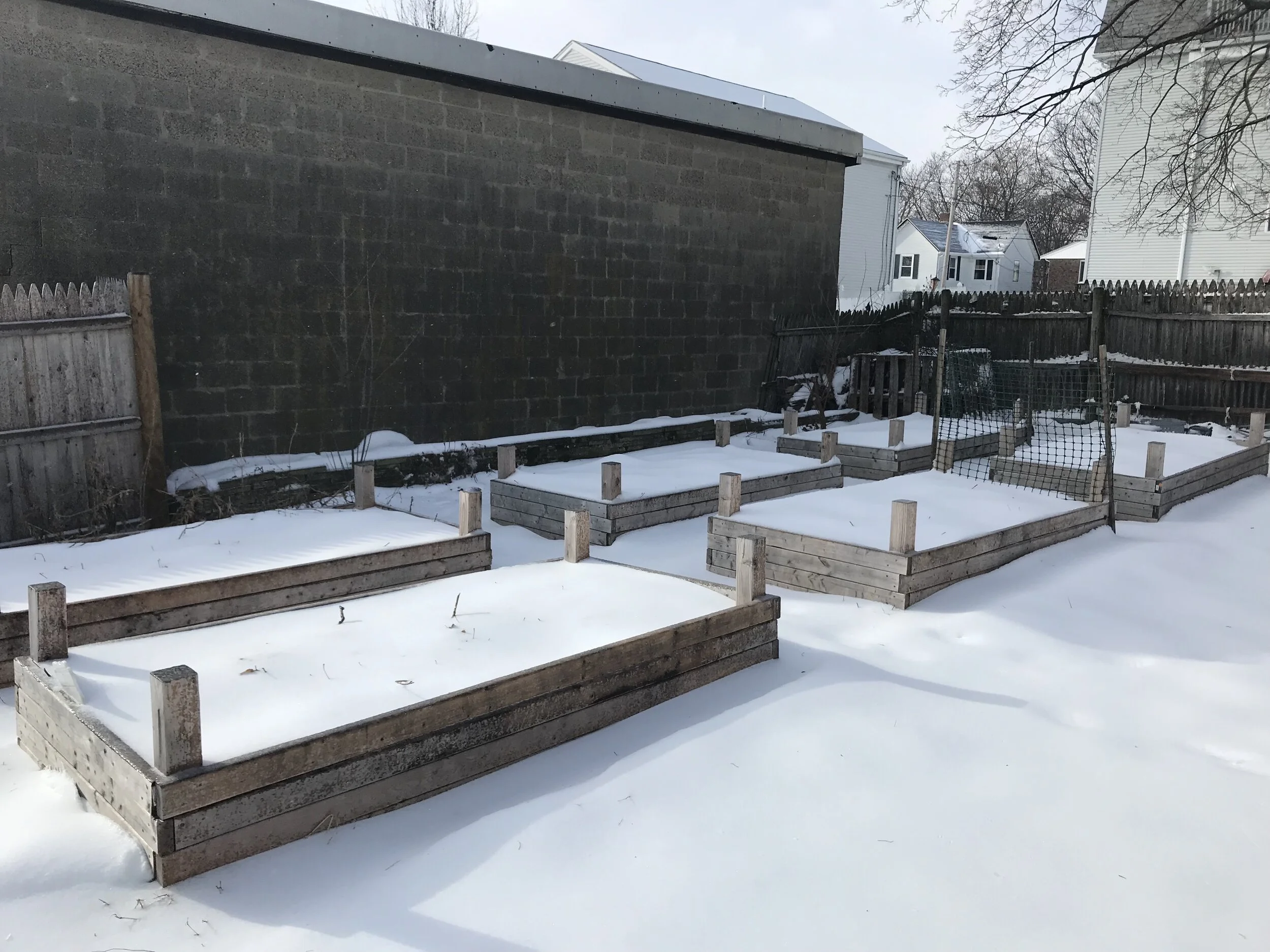 January in the Patch
