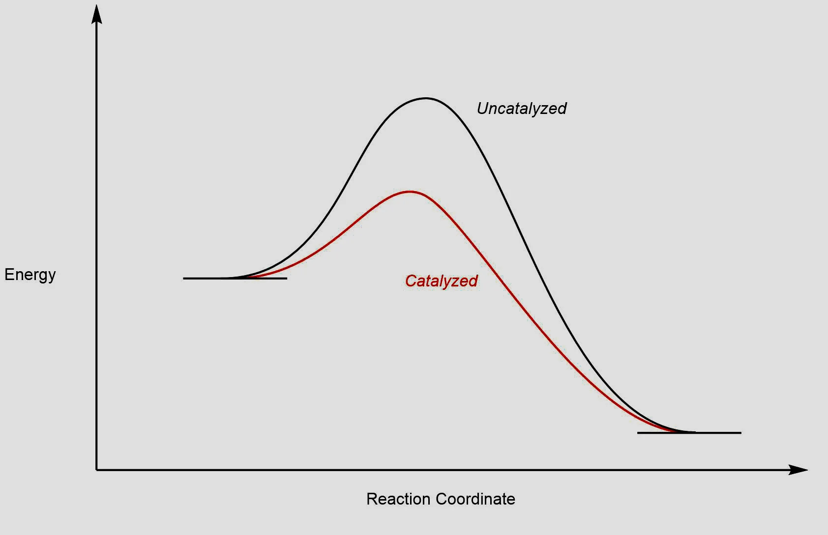 Catalysis_JPL_2.jpg