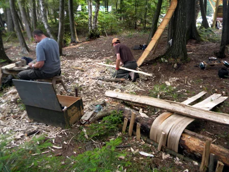 birchbark 2.jpg