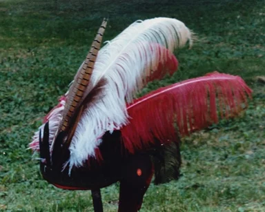 Feather headress of type worn in midwest