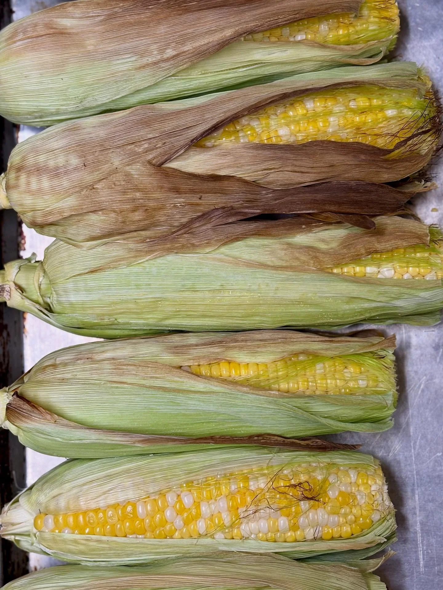 Sweet Corn Festival!  Fresh from the oven &amp; ready to grill!  #tiffanystapandgrill