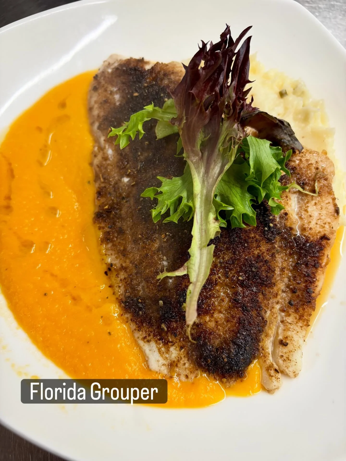 Florida Grouper | Roasted Garlic Peppercorn Rub | Butternut Squash | #tiffanystapandgrill
