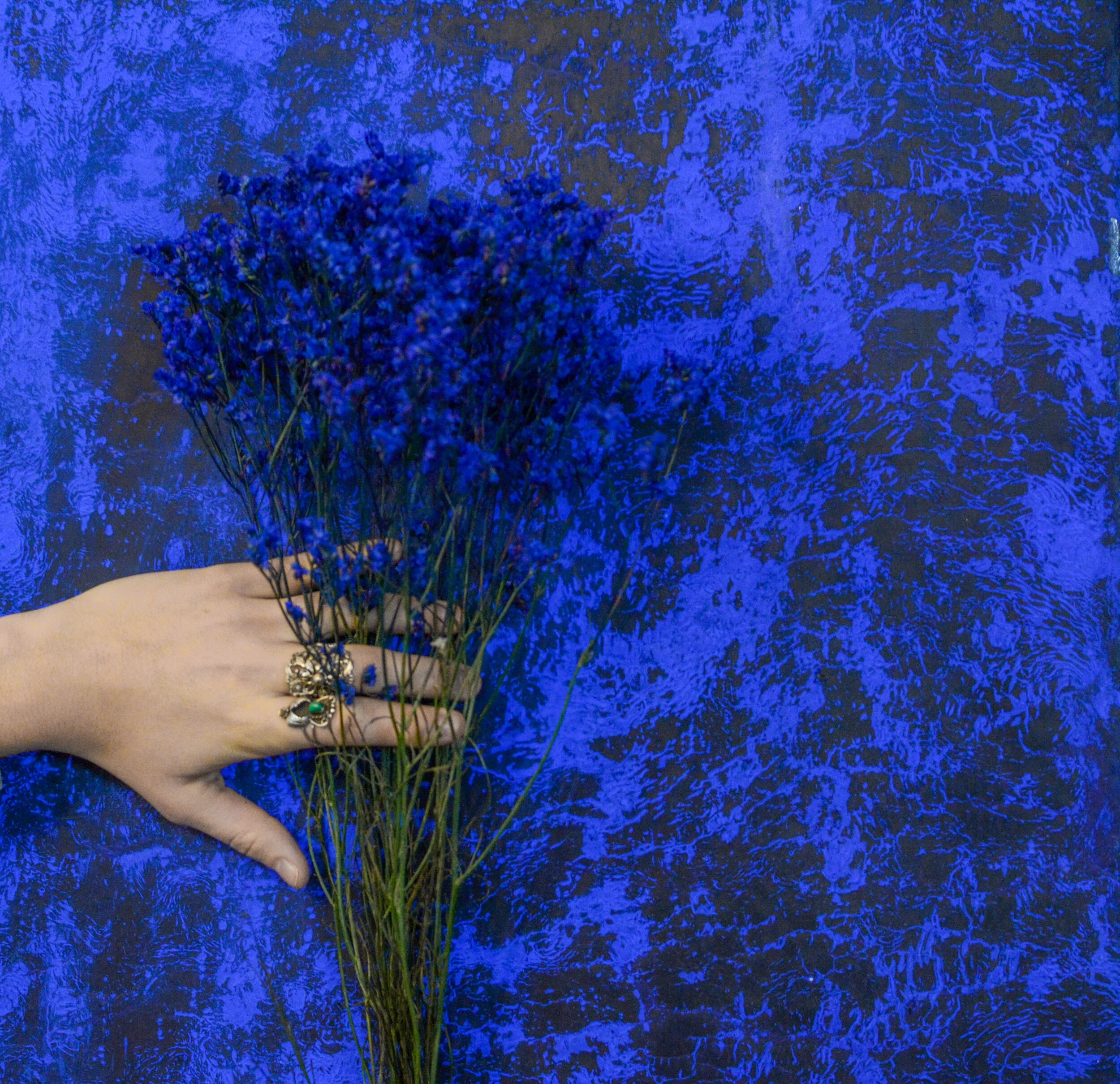  MINKA Community Photo Sessions | Sliding Scale Photos