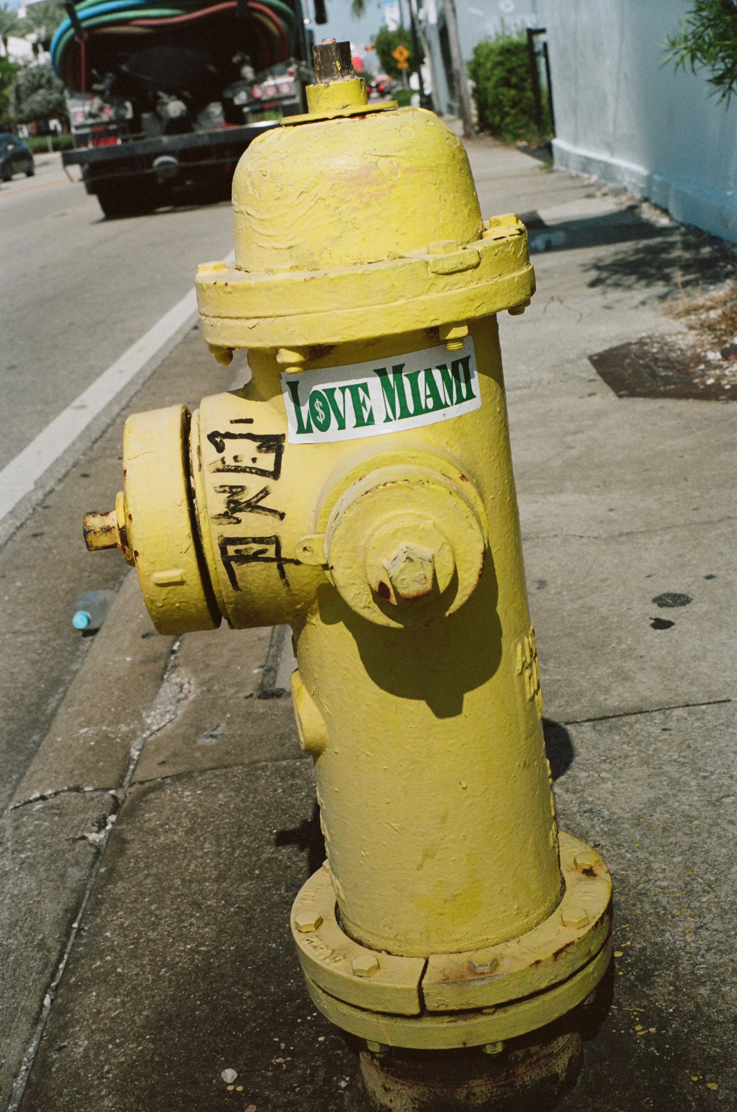 SUMMER( Favorite.) Photos 