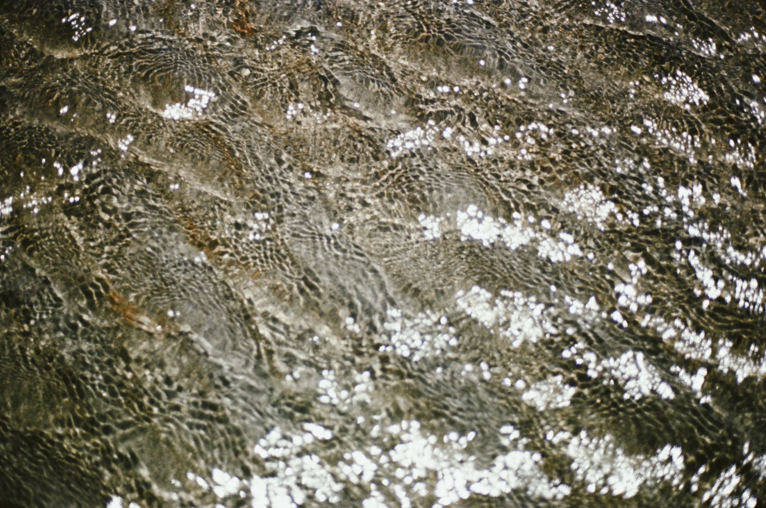 DC62F5CC-FB82-48F0-9BBB-5E39FAA805EB.jpg