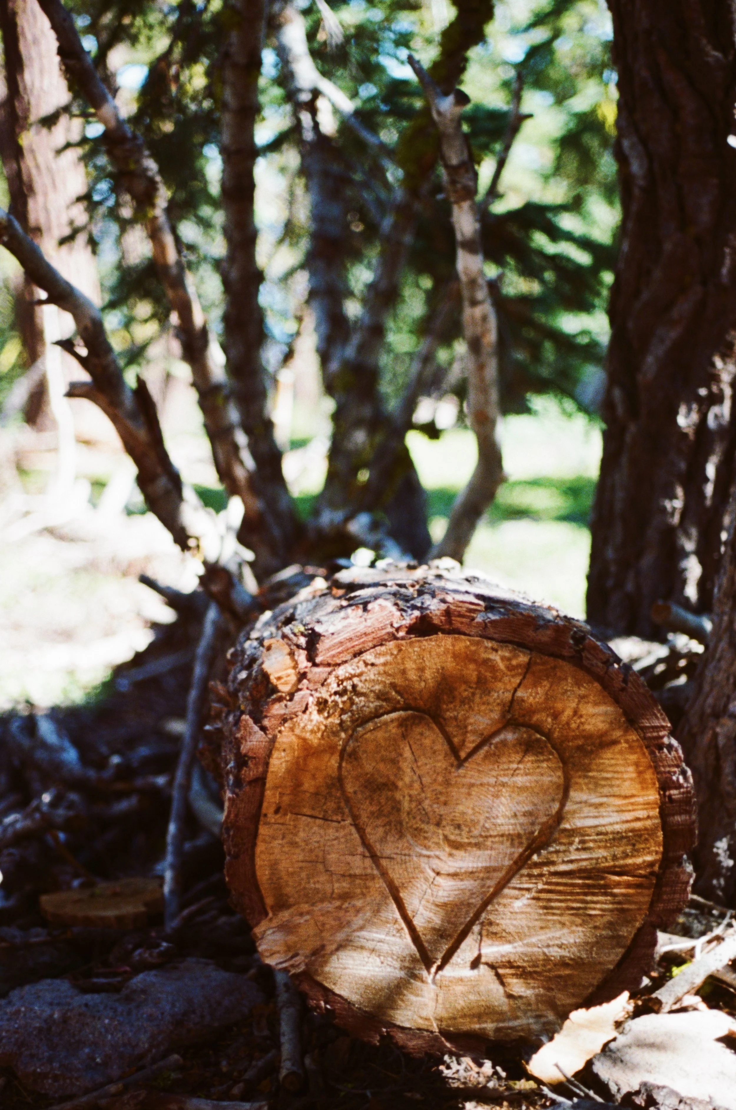 Lake Tahoe and San Fran Part I...