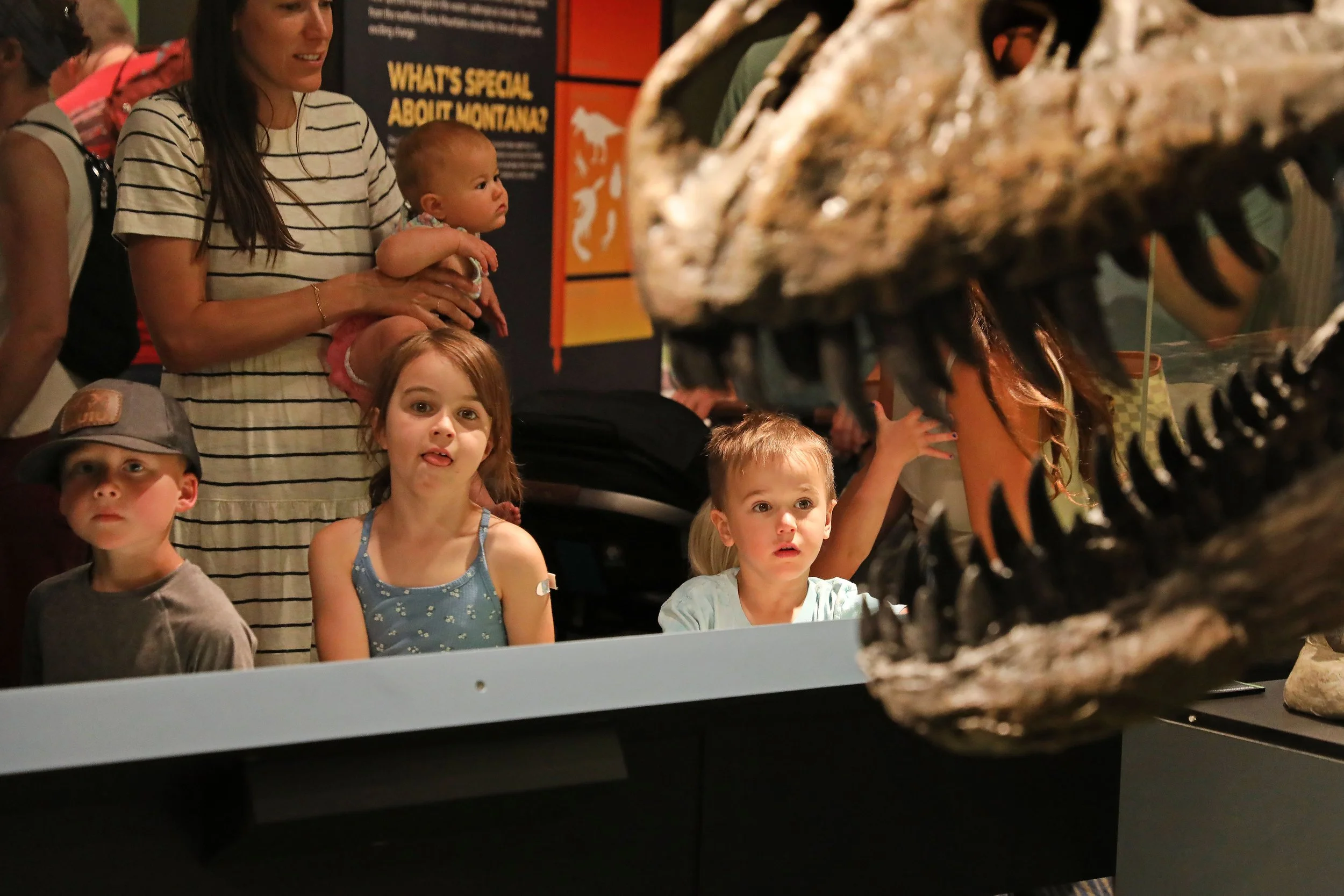 •Cretaceous _Crossroads_Opening_001.jpg