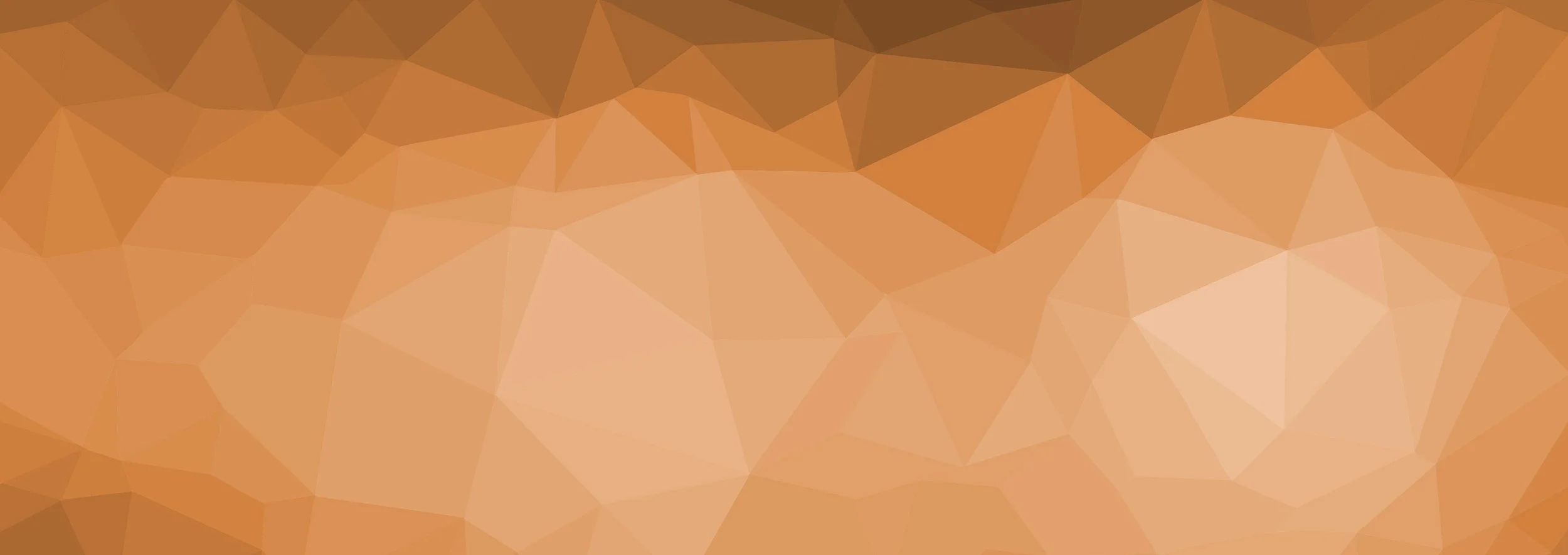 Accuvest Hero Image_vOrange.jpg