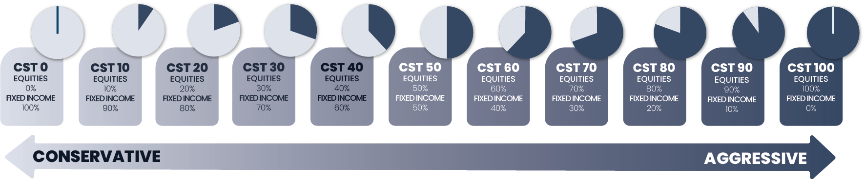 CST Multi-Asset Class — ACCUVEST GLOBAL ADVISORS