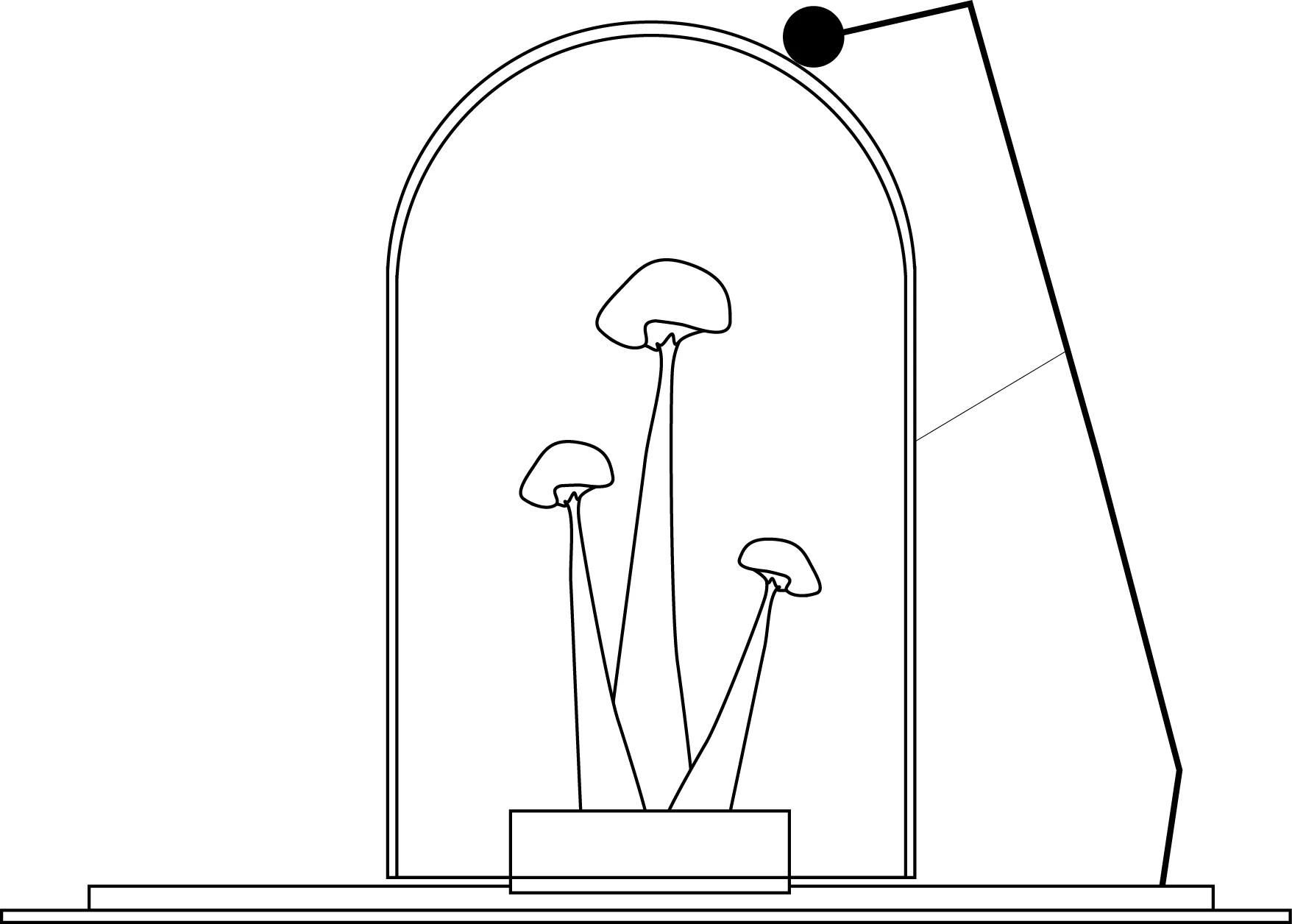 fungurist.jpg