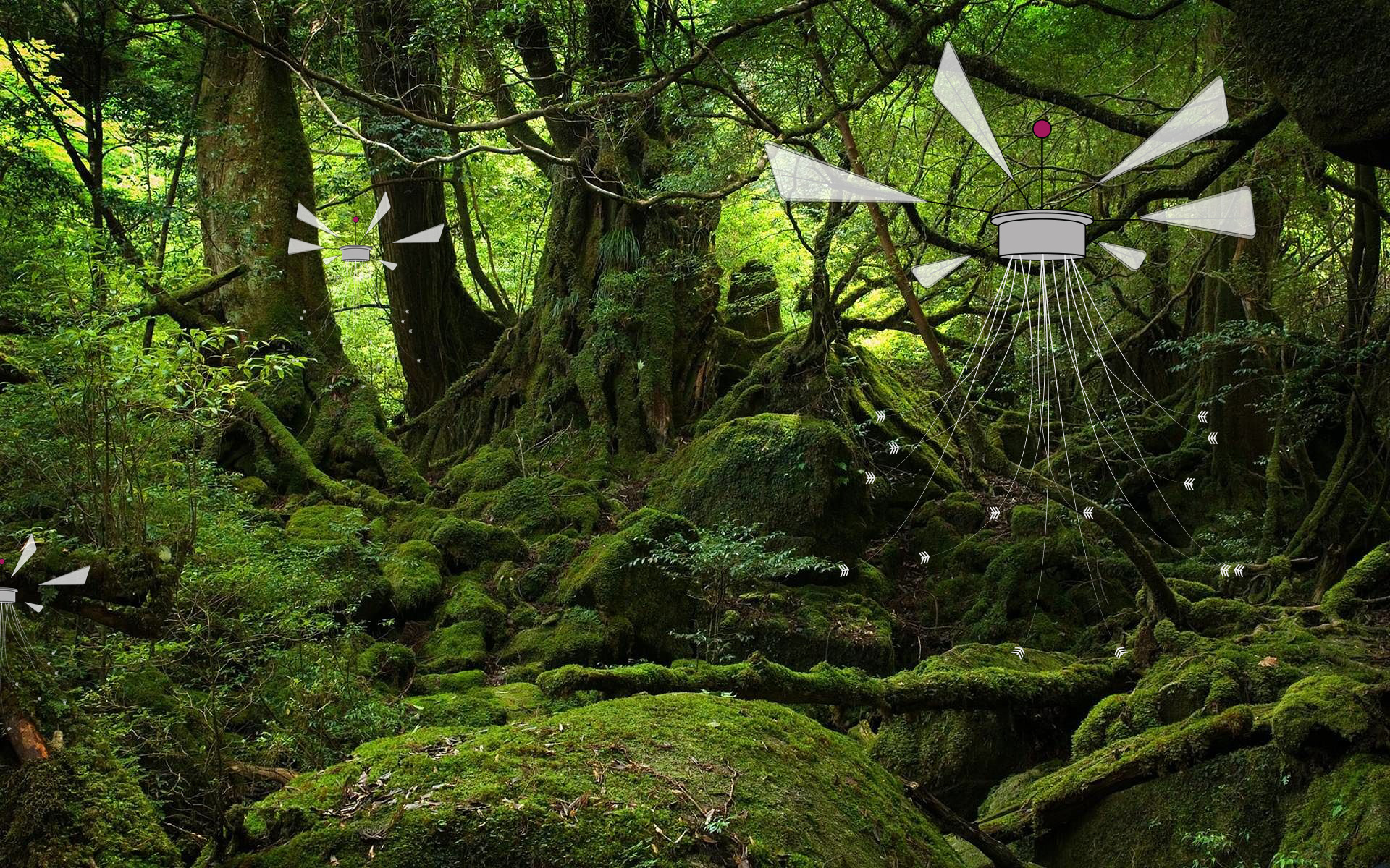 POLLINATING DRONES