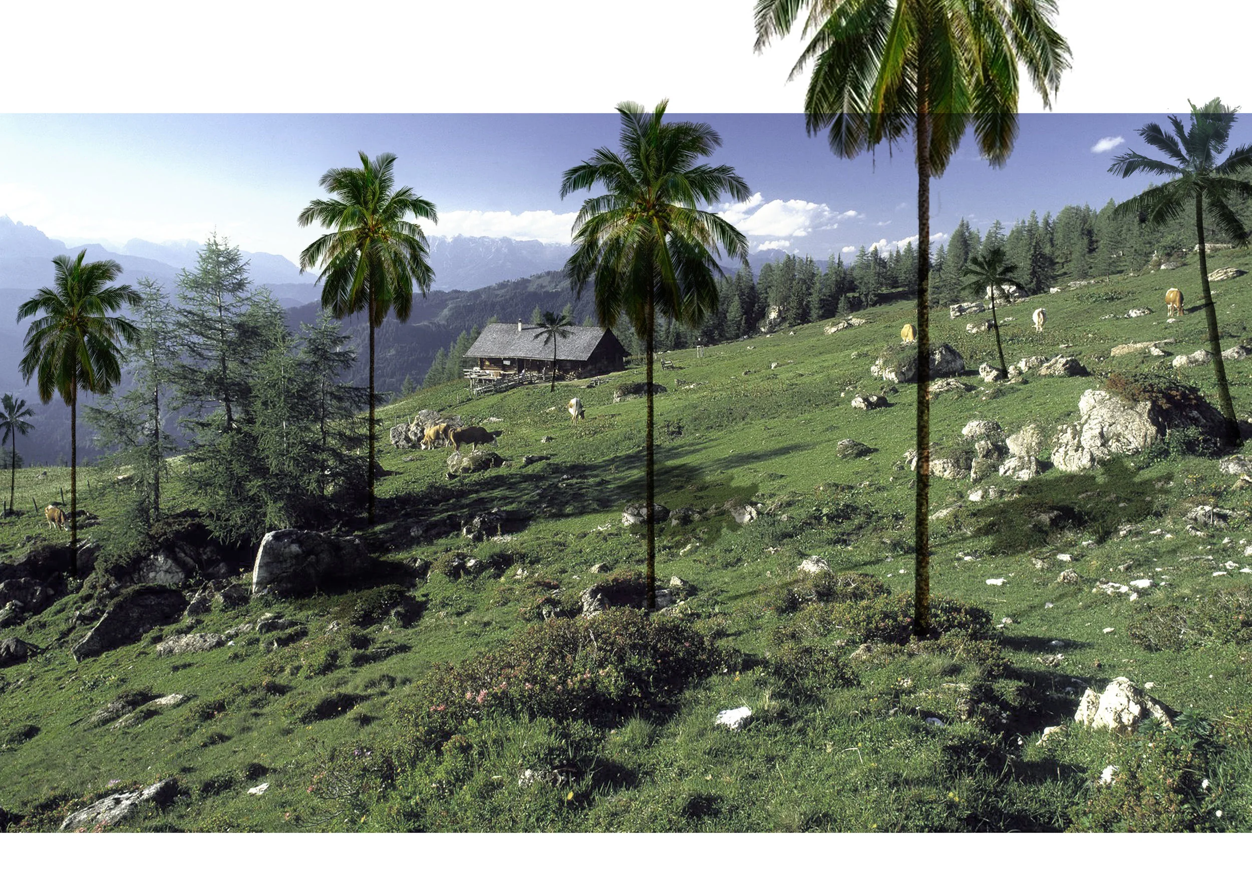THE ANTRHOPOCENE IS CHANGING LANDSCAPE CONDITIONS AND DECREASES BIODIVERSITY EVEN IS THE MOST PRISTINE AREAS
