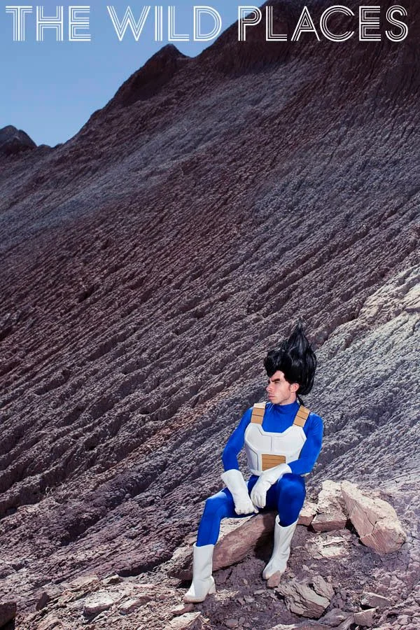 Vegeta Wig