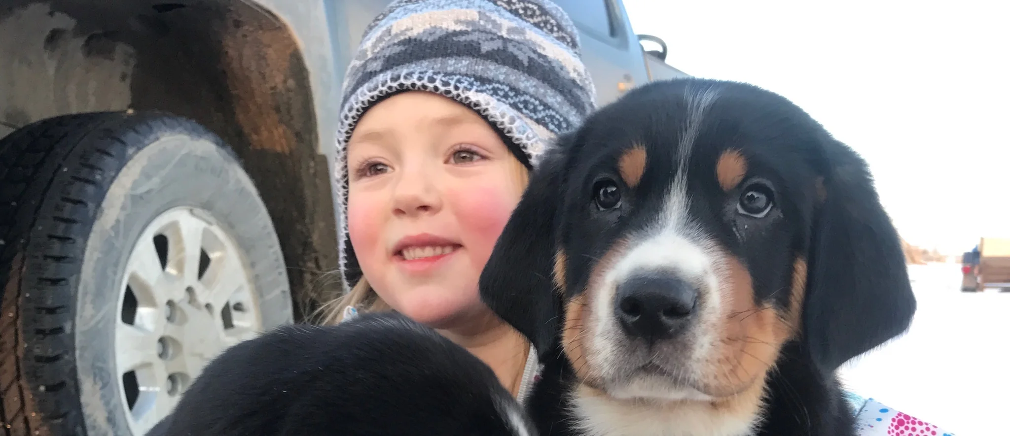 charley and pup snow .JPG