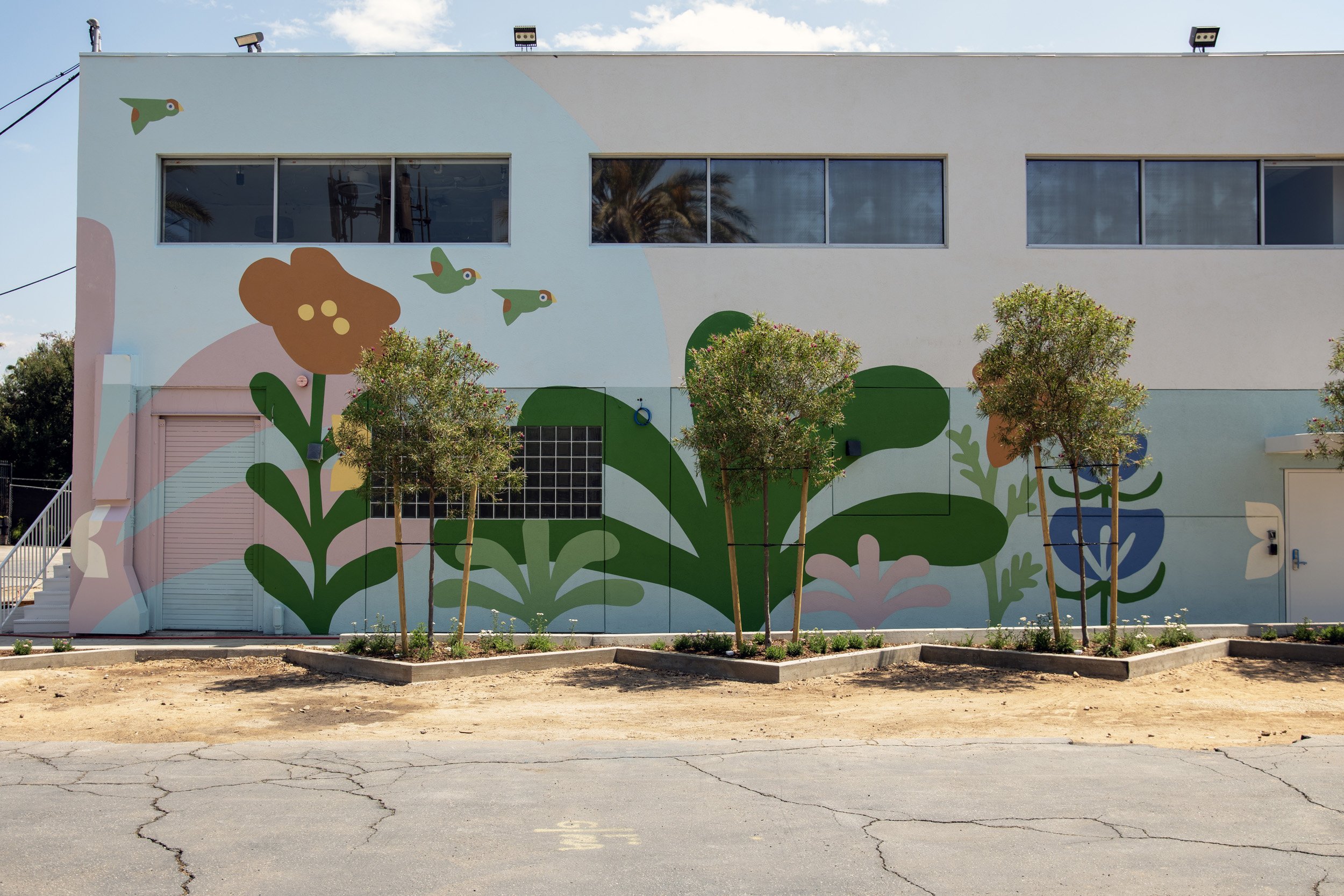Pasadena Abstract Large Scale Mural for Planned Parenthood