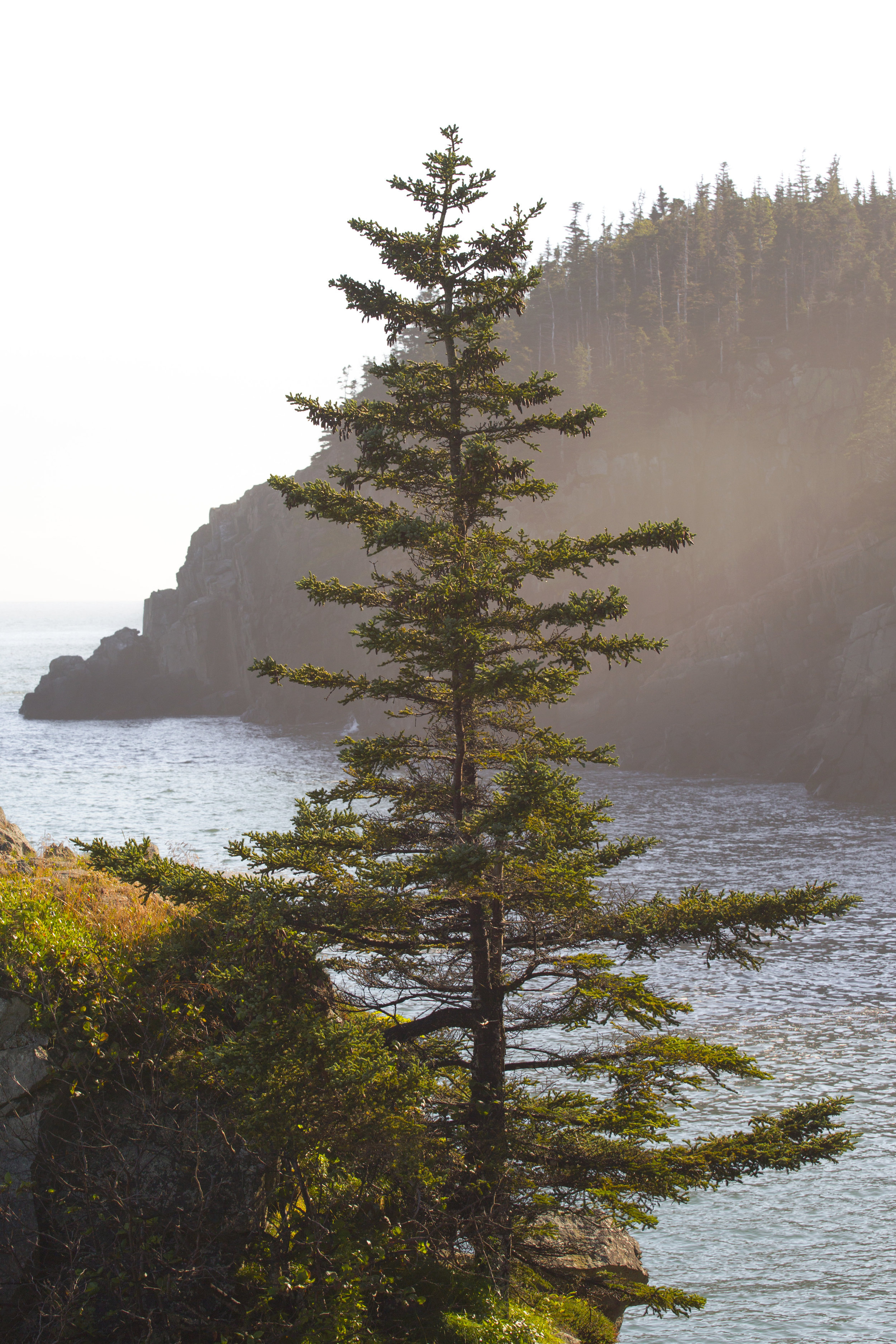 Maine National Park Landscape Photography