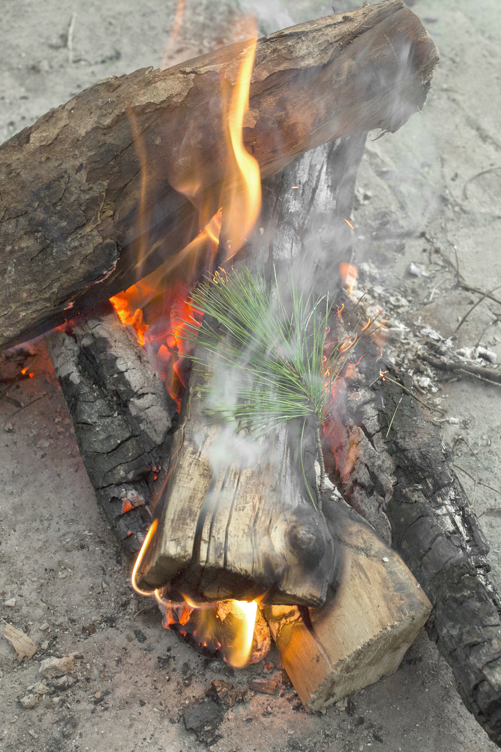 Campfire in Maine - Acadia National Park Camping