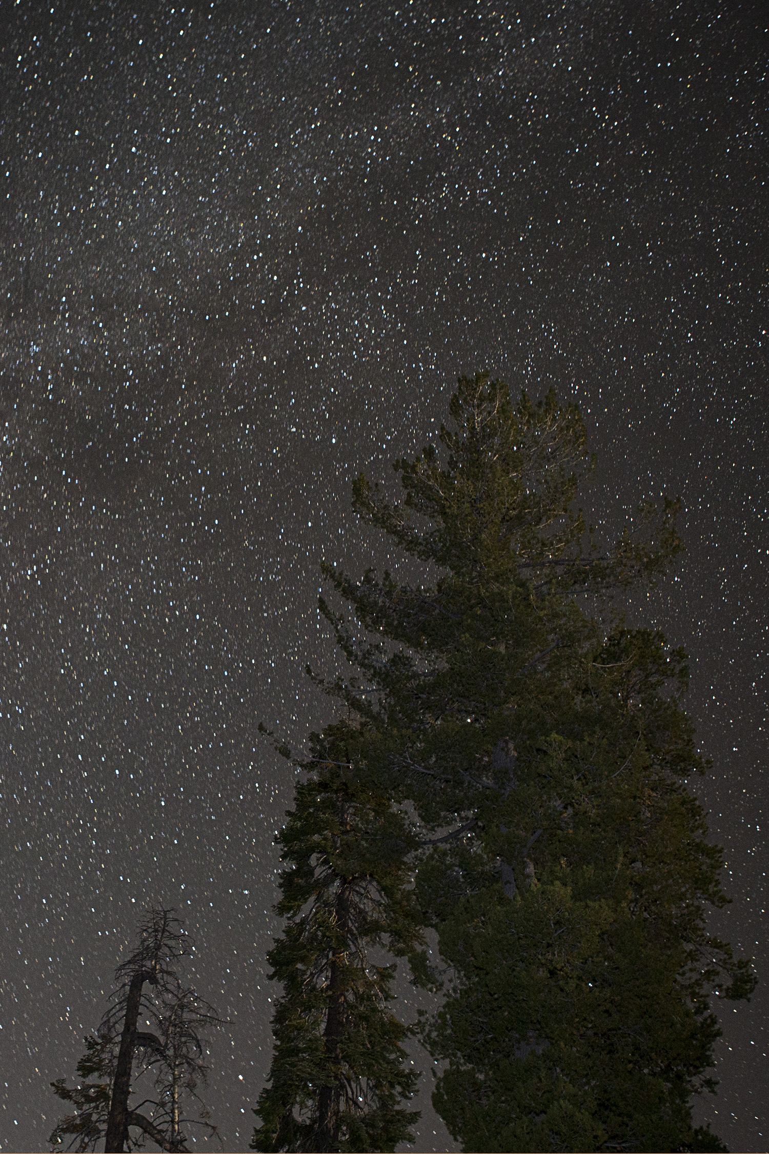 Stars Night Photography by Lisa Beggs in Yosemite CA