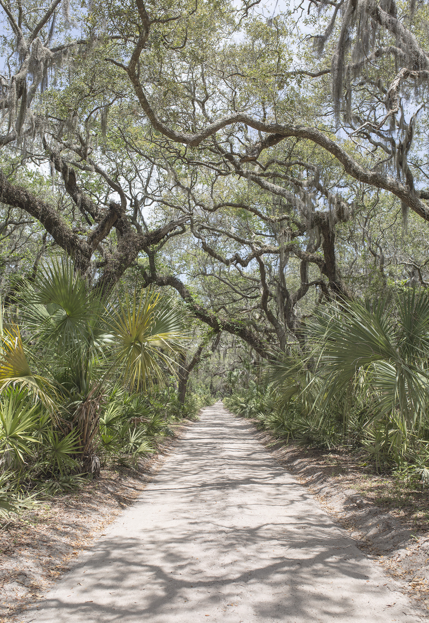 Everglades Trail Florida