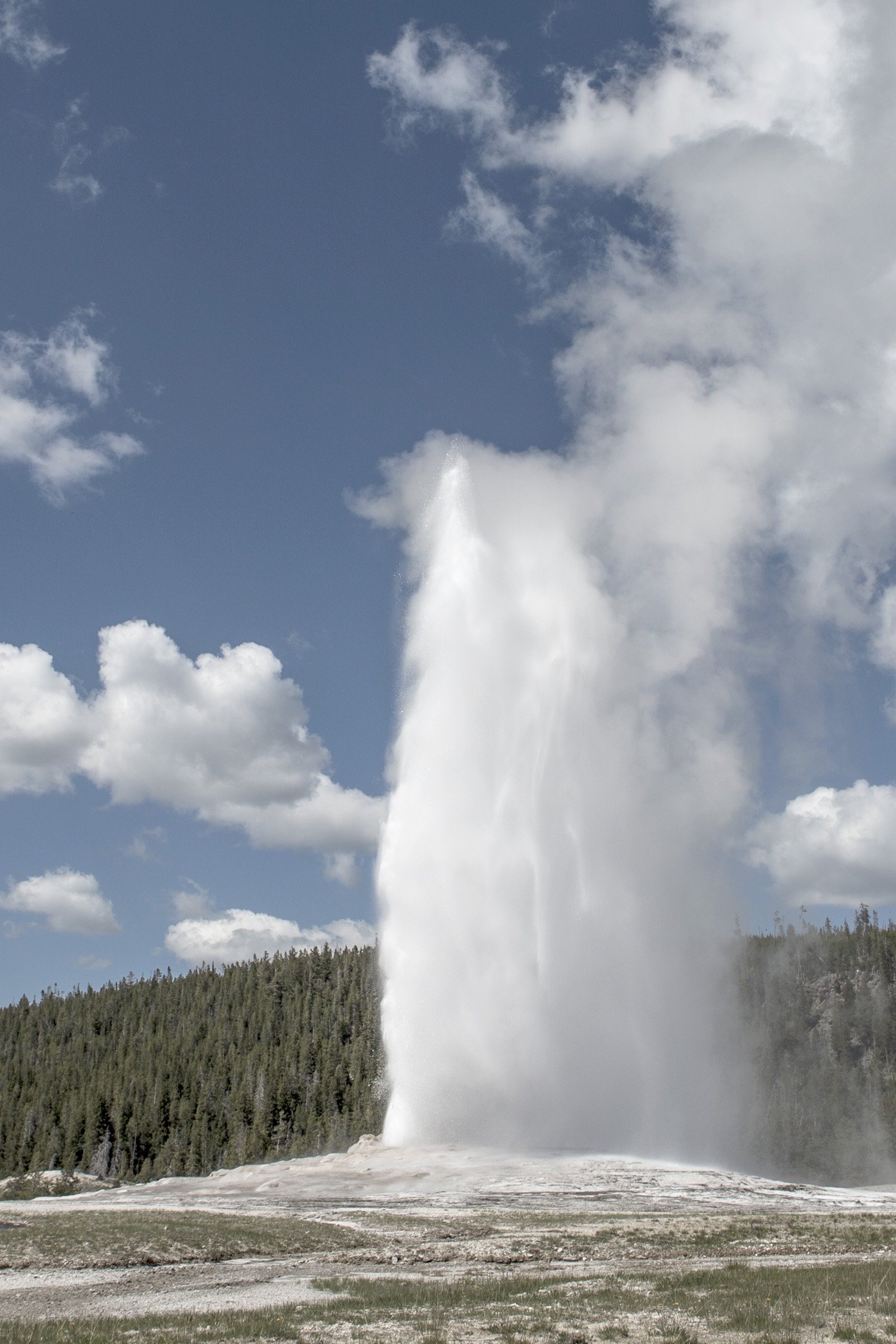 Old Faithful Geyser in Yellowstone