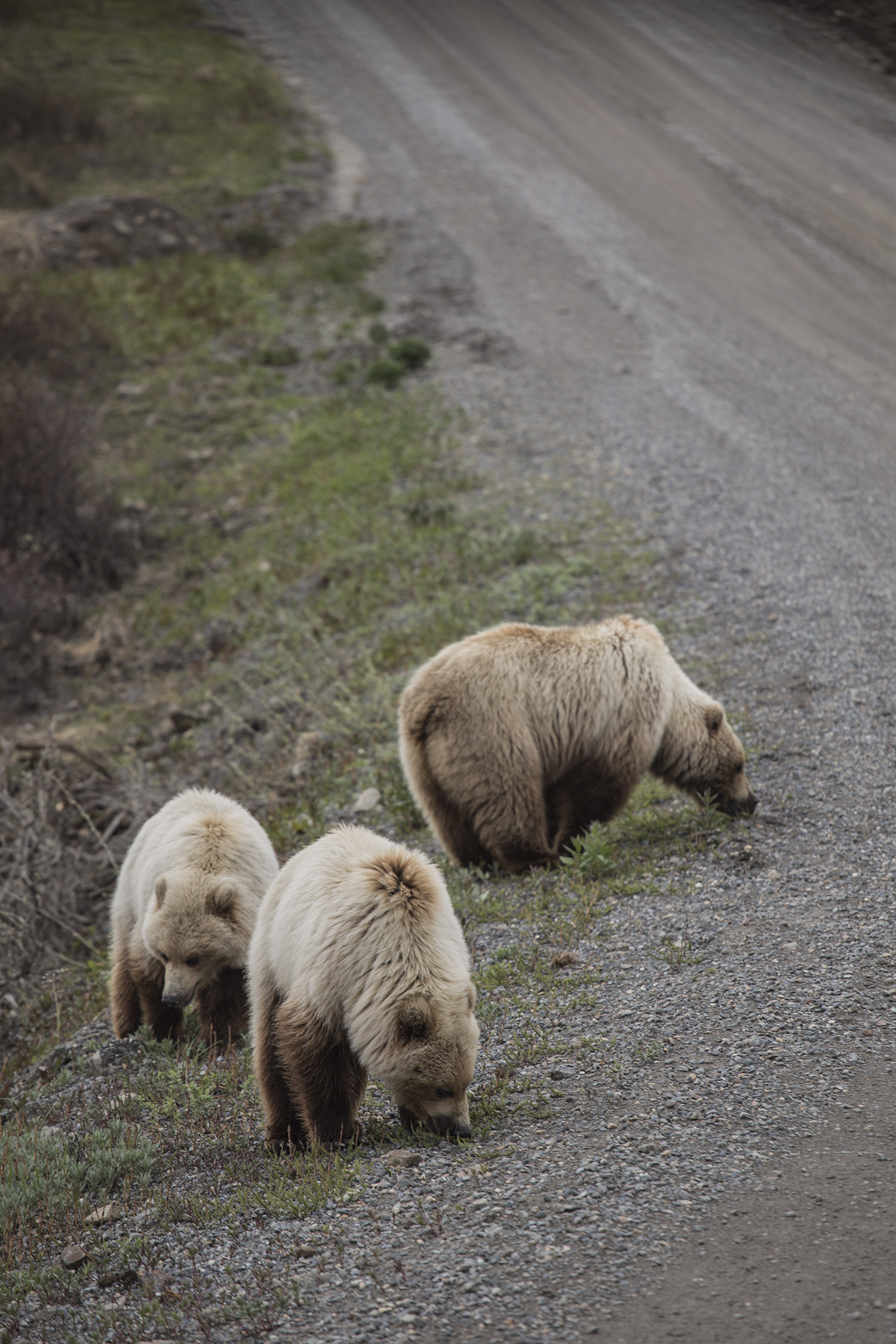 GREETINGSTOUR_AK_020.jpg