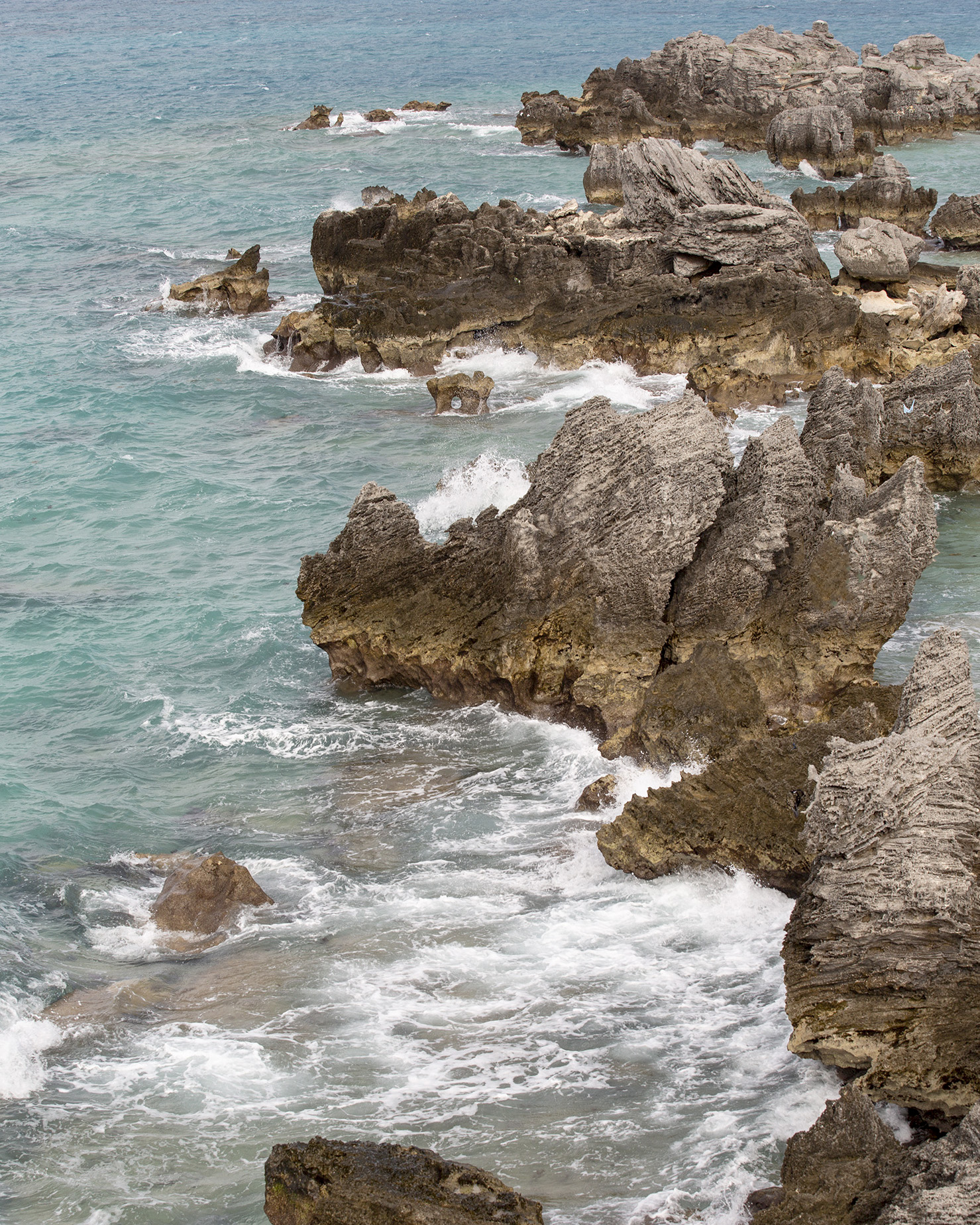 Bermuda Landscape Photography by Lisa Beggs