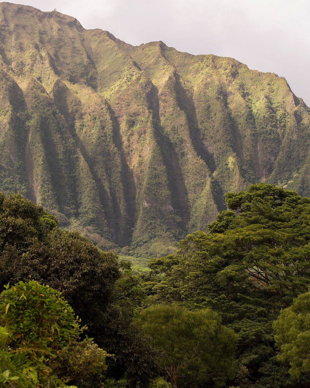 Oahu Landscapes - Calming Paradise Photogrpahy