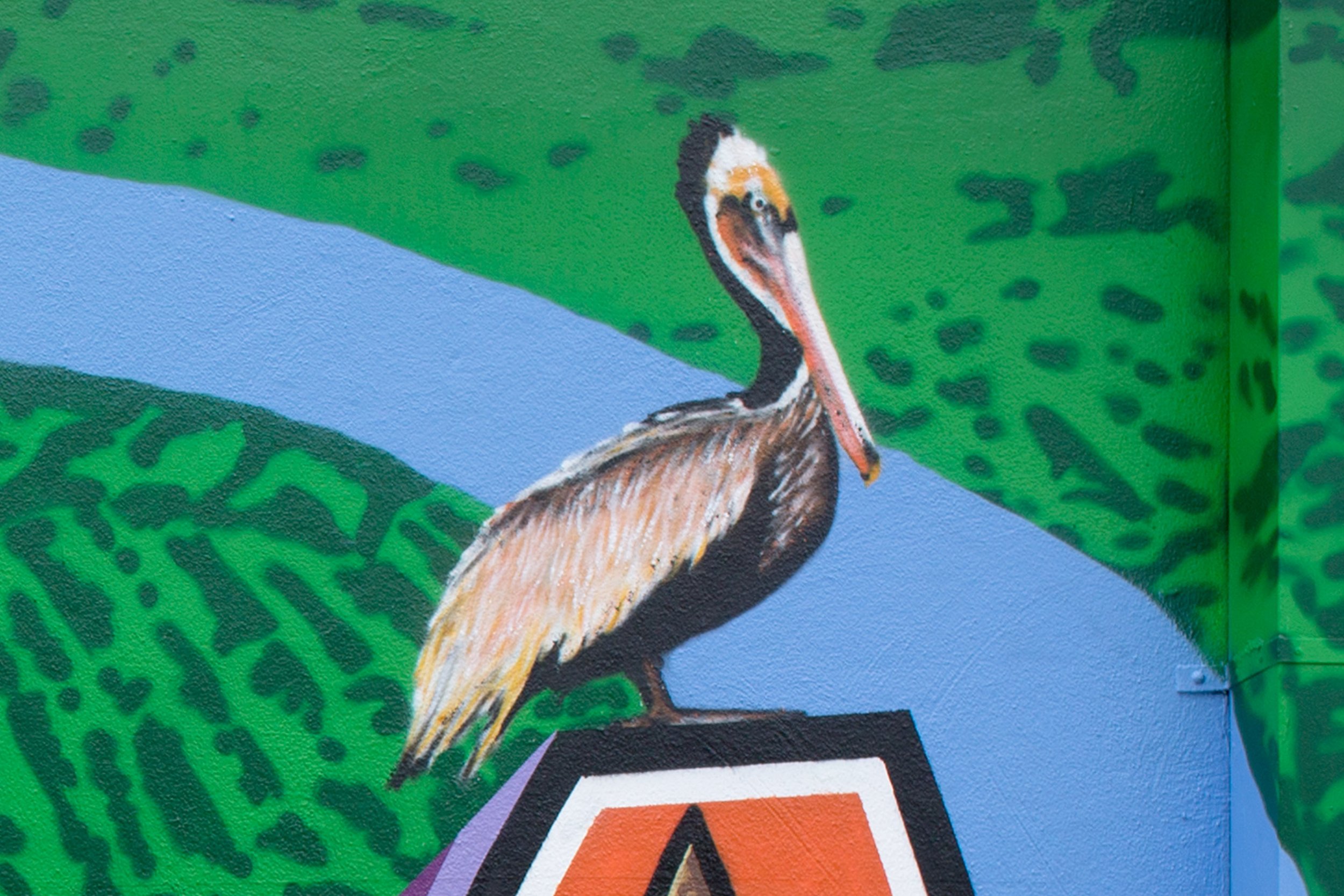 pelican-nola.jpg