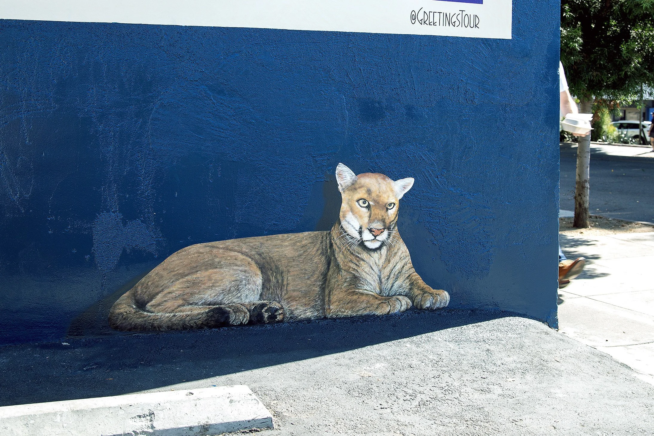 P-22 Mountain Lion Tribute Mural in Los Feliz
