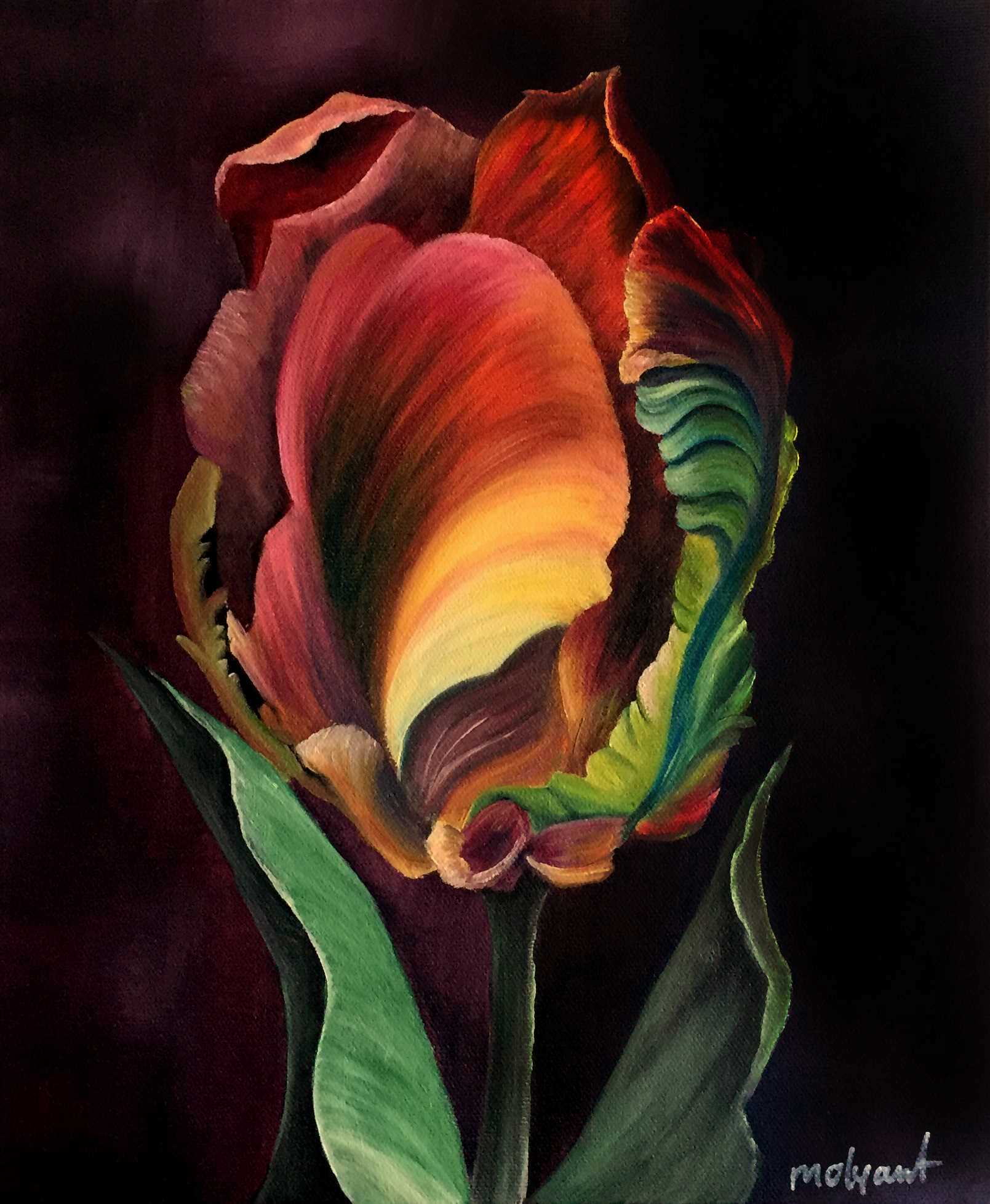 Parrot_Tulip.JPG.jpg