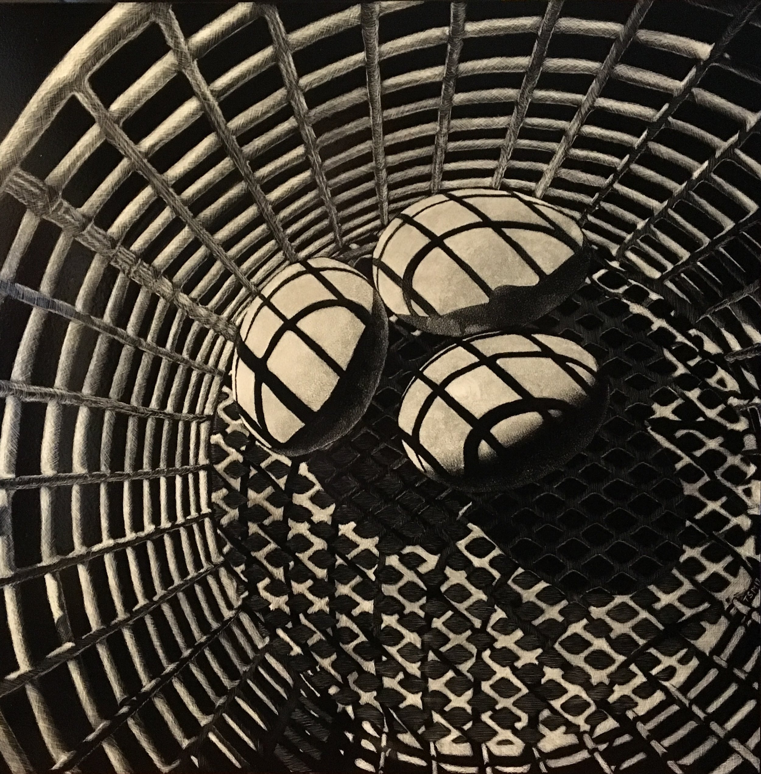 Merkt_Tara_CarapaceCadence_Scratchboard_12x12.jpeg