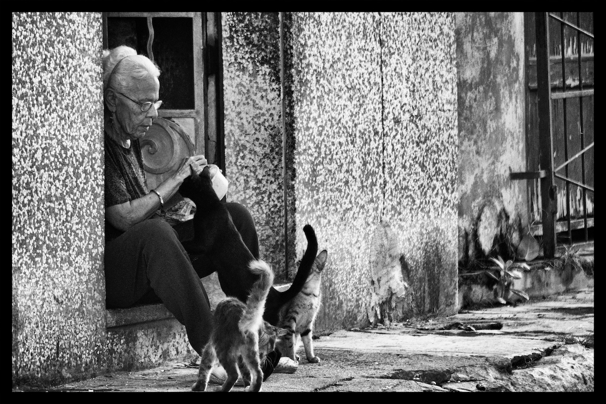Sandie Lee Butler Cuban Cat Lady Photography 19 x 13