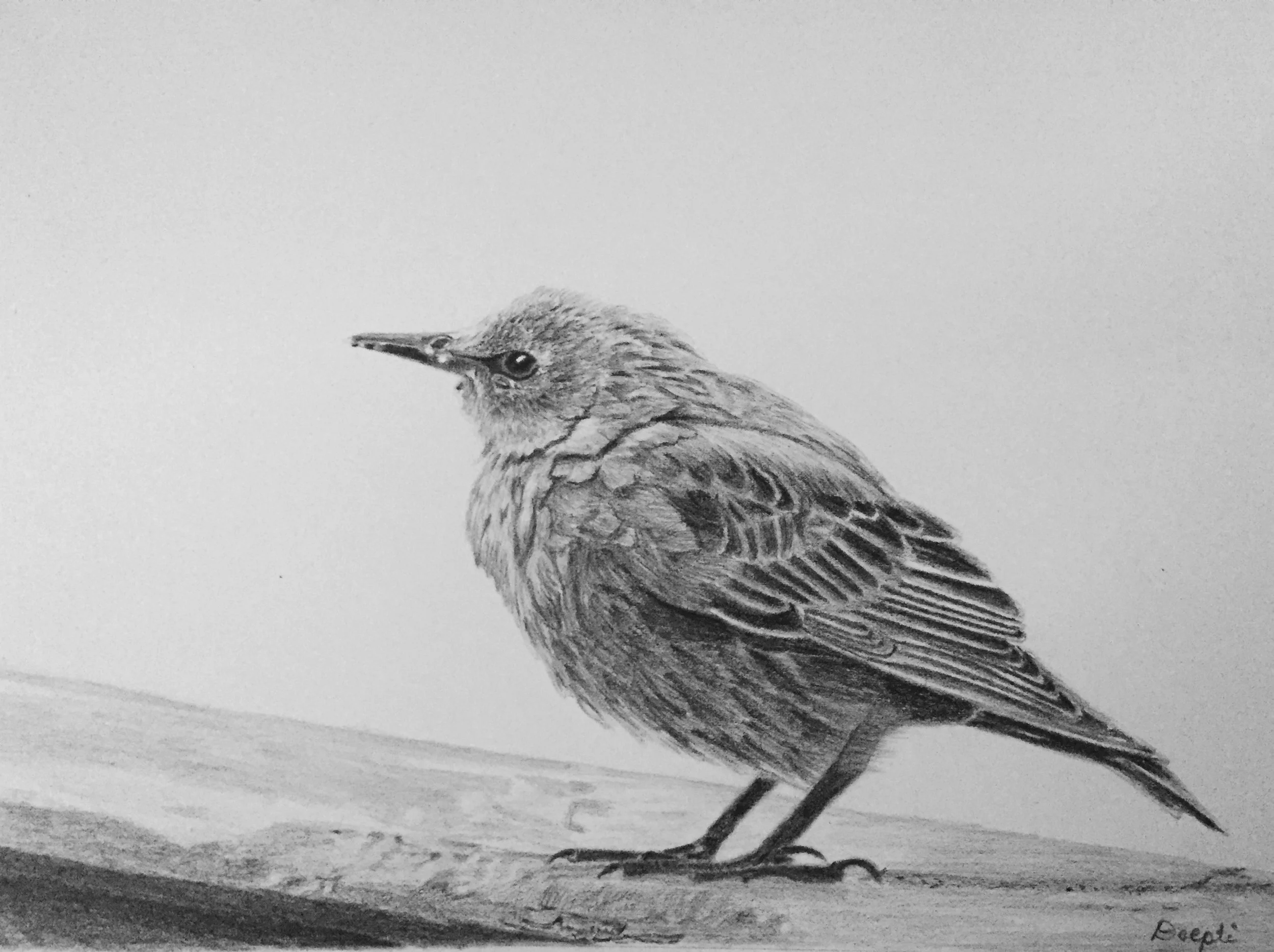 Deepti_Mohile_A_short_layover_Graphite_9x12.jpg