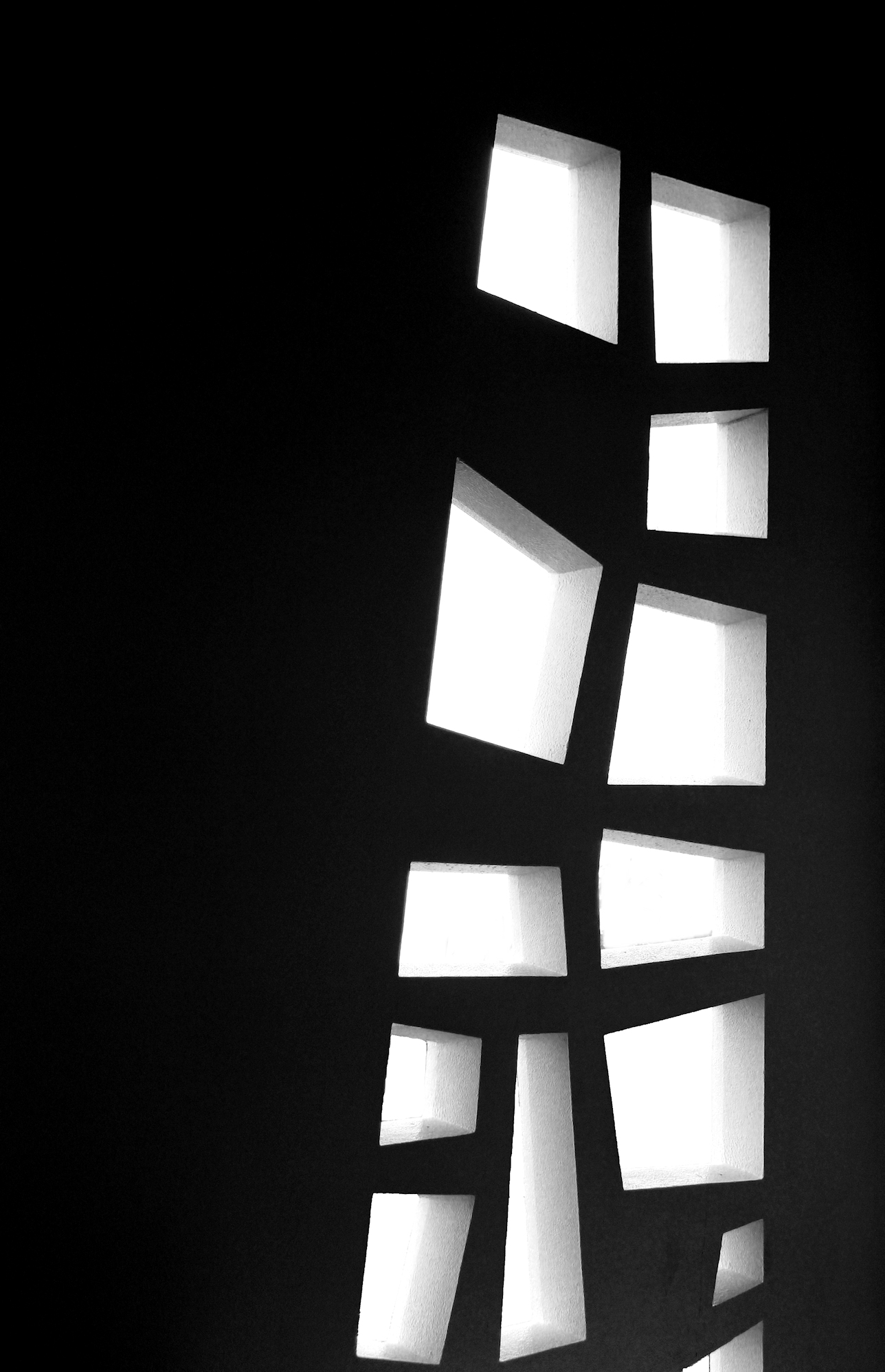 Foster_Brandi_Tree_of_Life_Photography_20x30.jpg