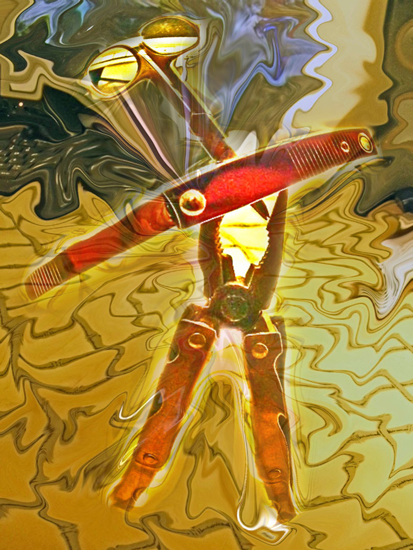 Duke_Michael_Messing_with_Desktop_Tools_Photography_30_x_40.jpg
