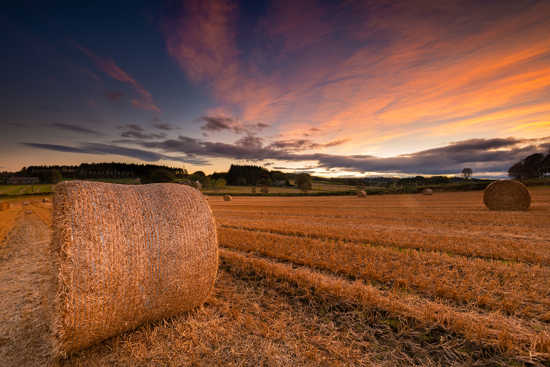  Rolling Hay Bales  Scotland 