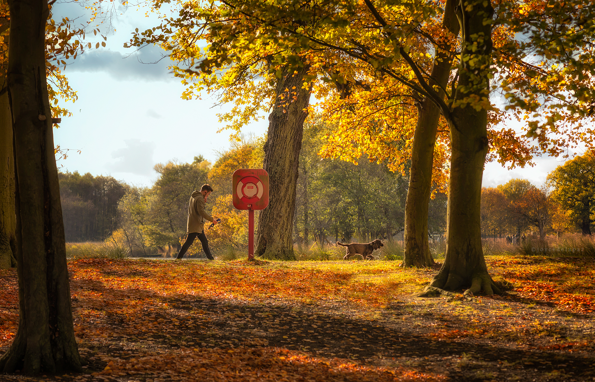  Autumnal Equinox  Richmond Park, London, England 