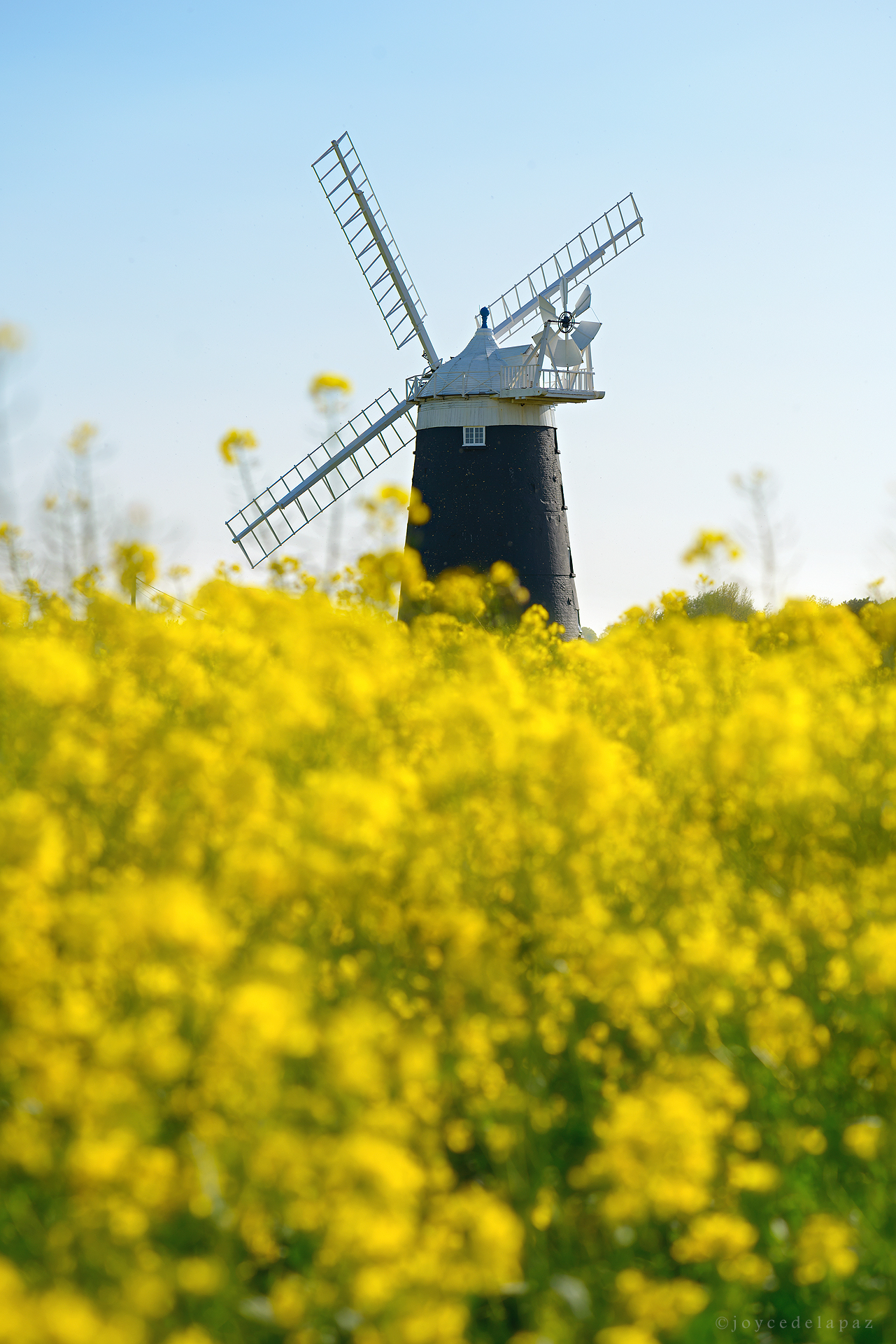  The Windmill  Norfolk, England 