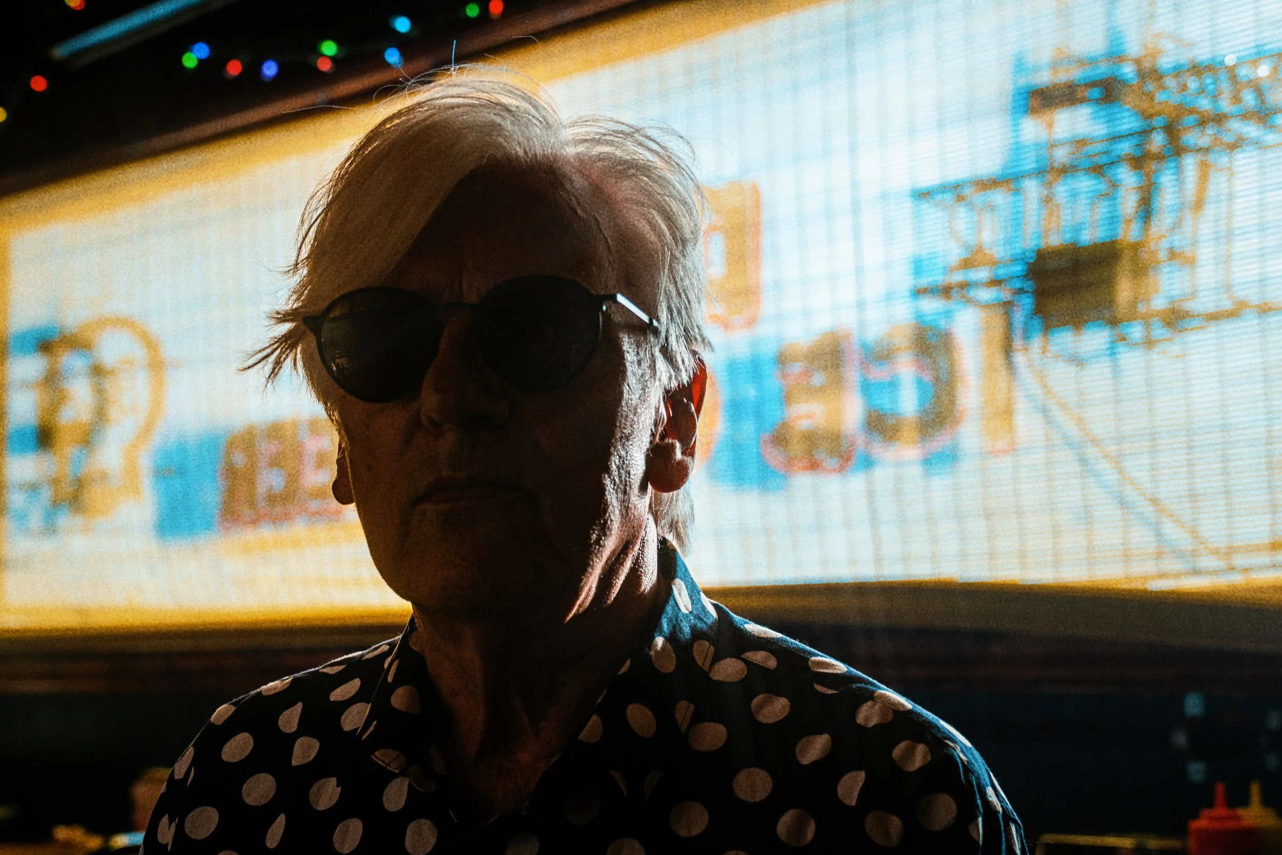 Robyn Hitchcock