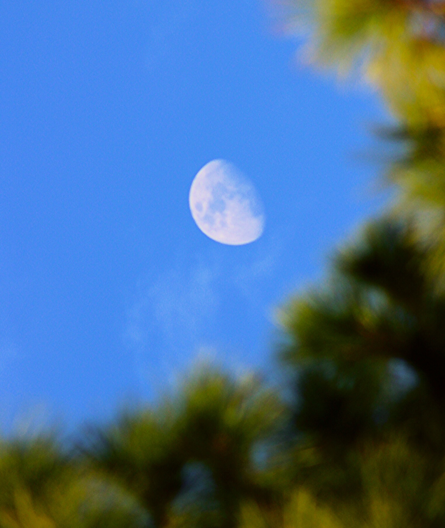 IMG_4243.jpg