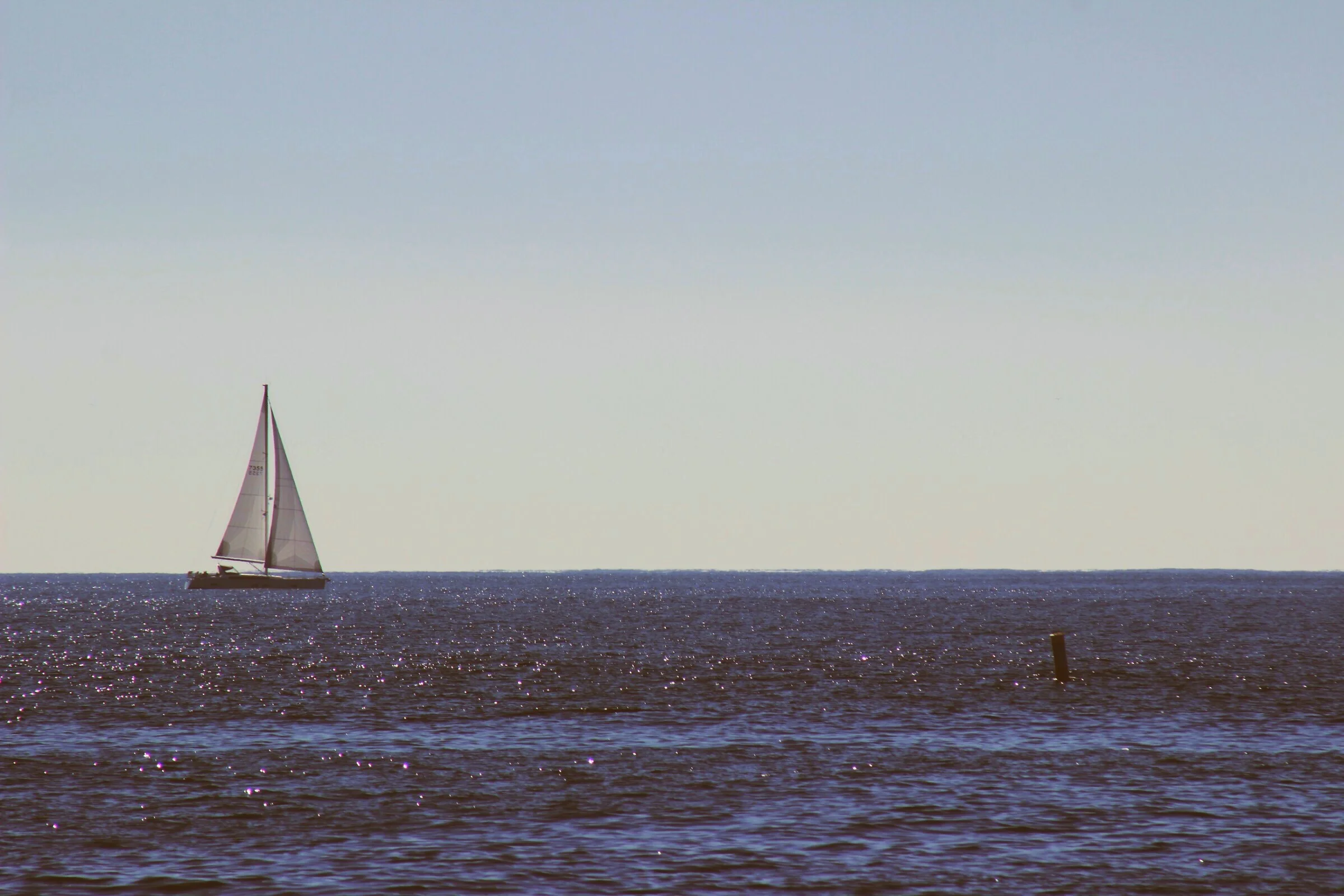 IMG_6695.jpg