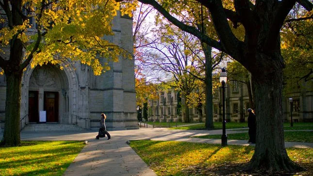 An Accidental Chief Product Officer: Me?