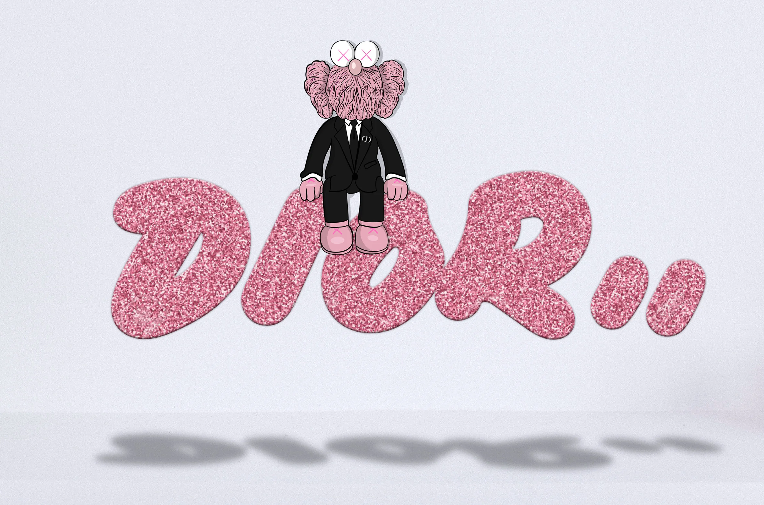 kaws x dior