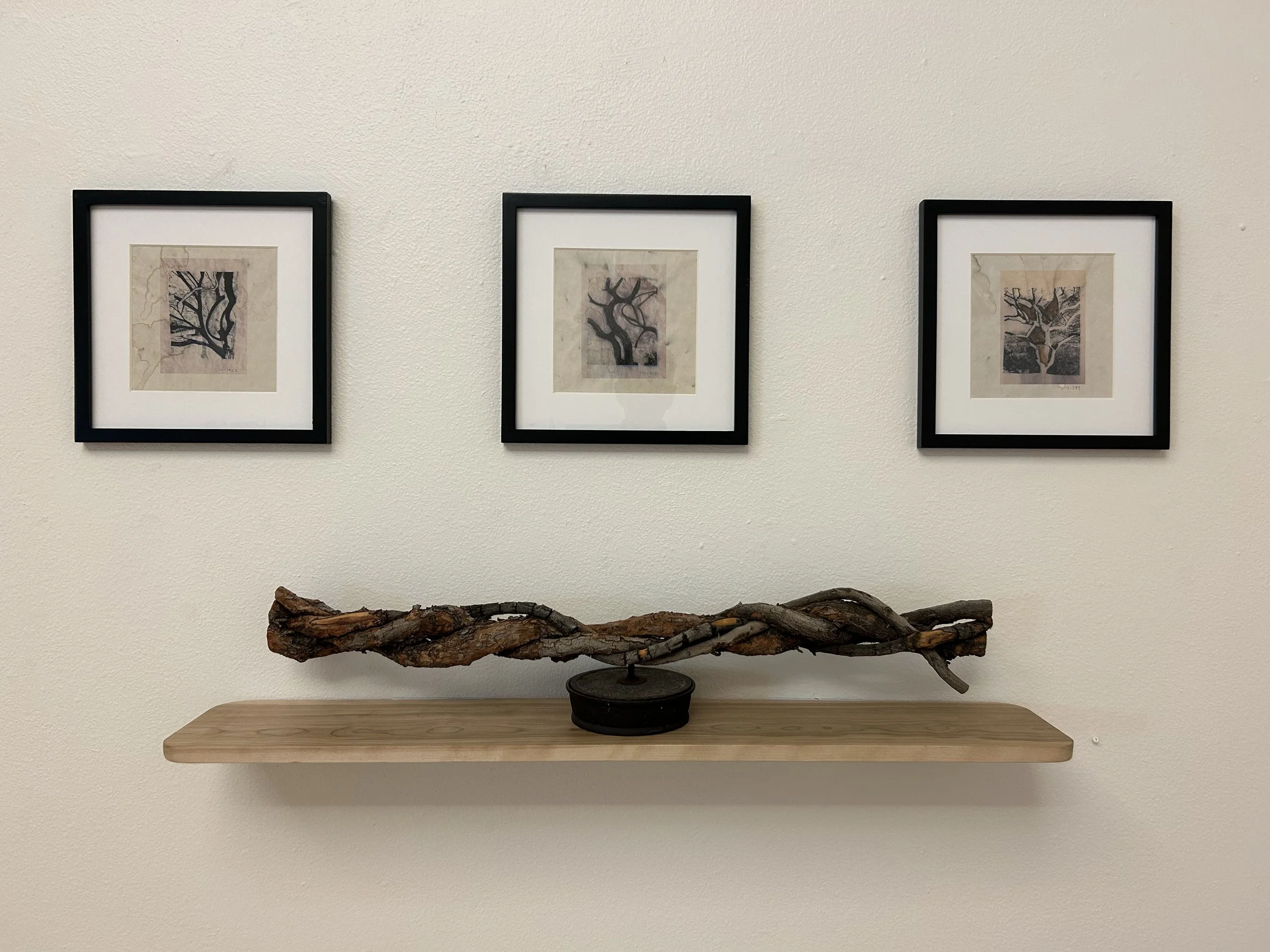 -Memorial to a lifetime of achievement - 2024 - African Sumac w/ photograophs . Instalation vew - dimentions variable