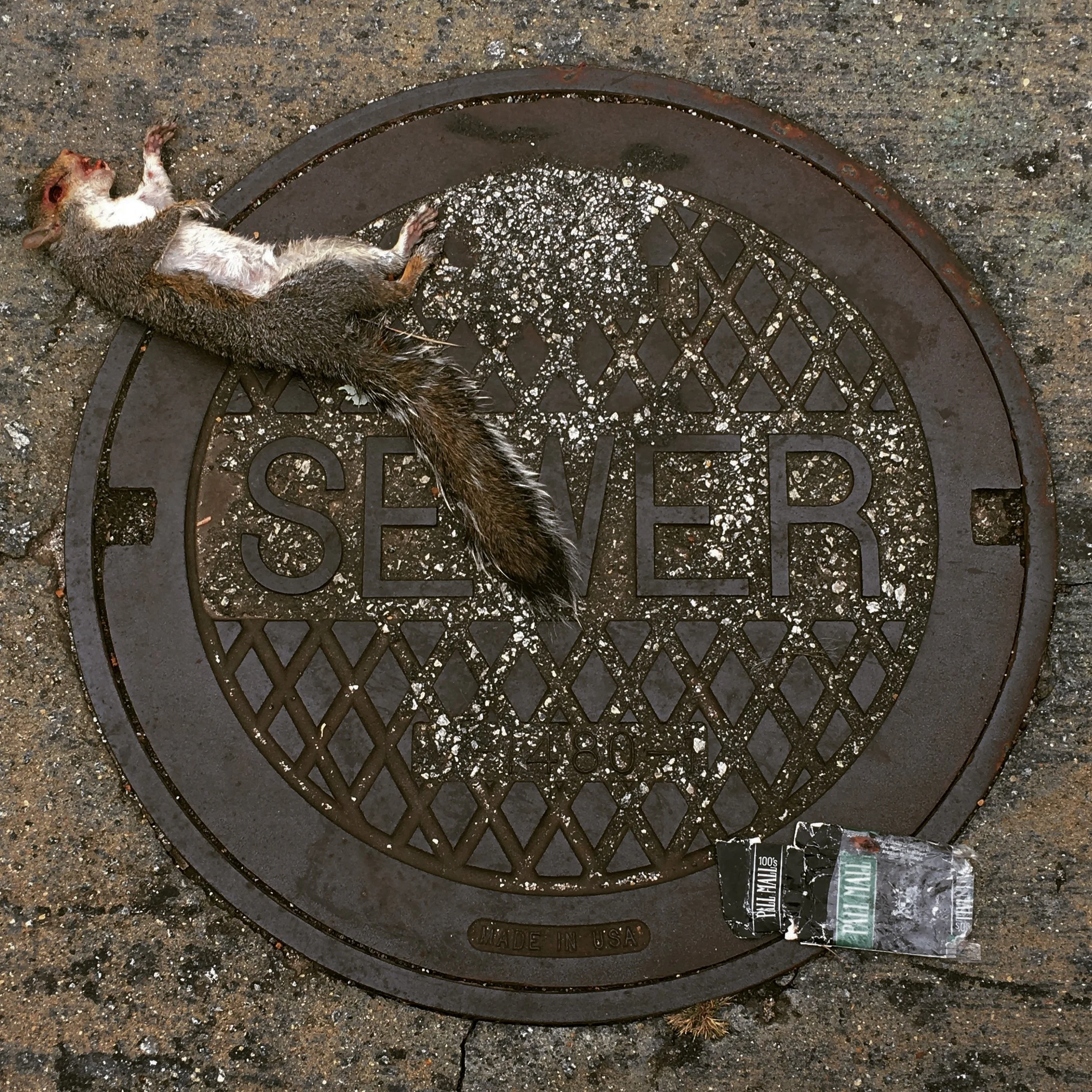 The Pall Mall Squirrel (2017)