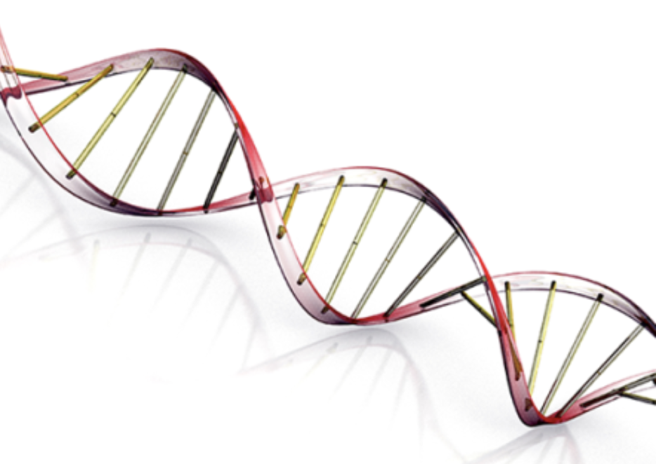 The Synthetic Biology Investor’s Lament