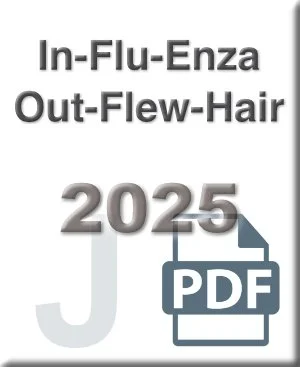 06 In-Flu-Enza.jpg