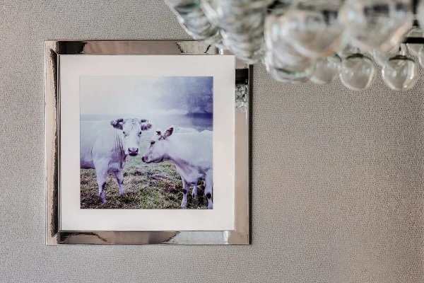 A look at our guiding inspiration… cows!