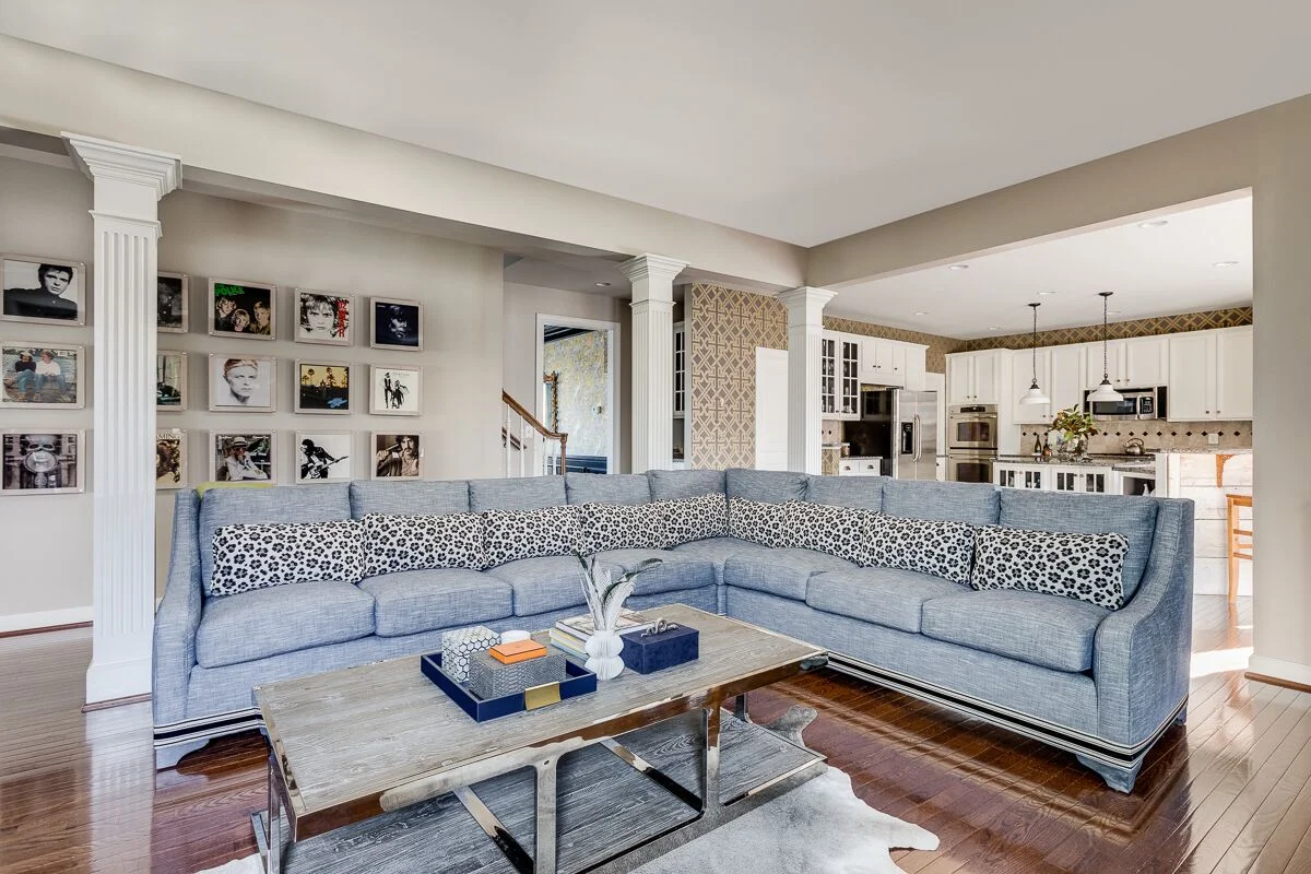 maria-causey-interior-design-dc-metro-va-reveal-family-room.jpg