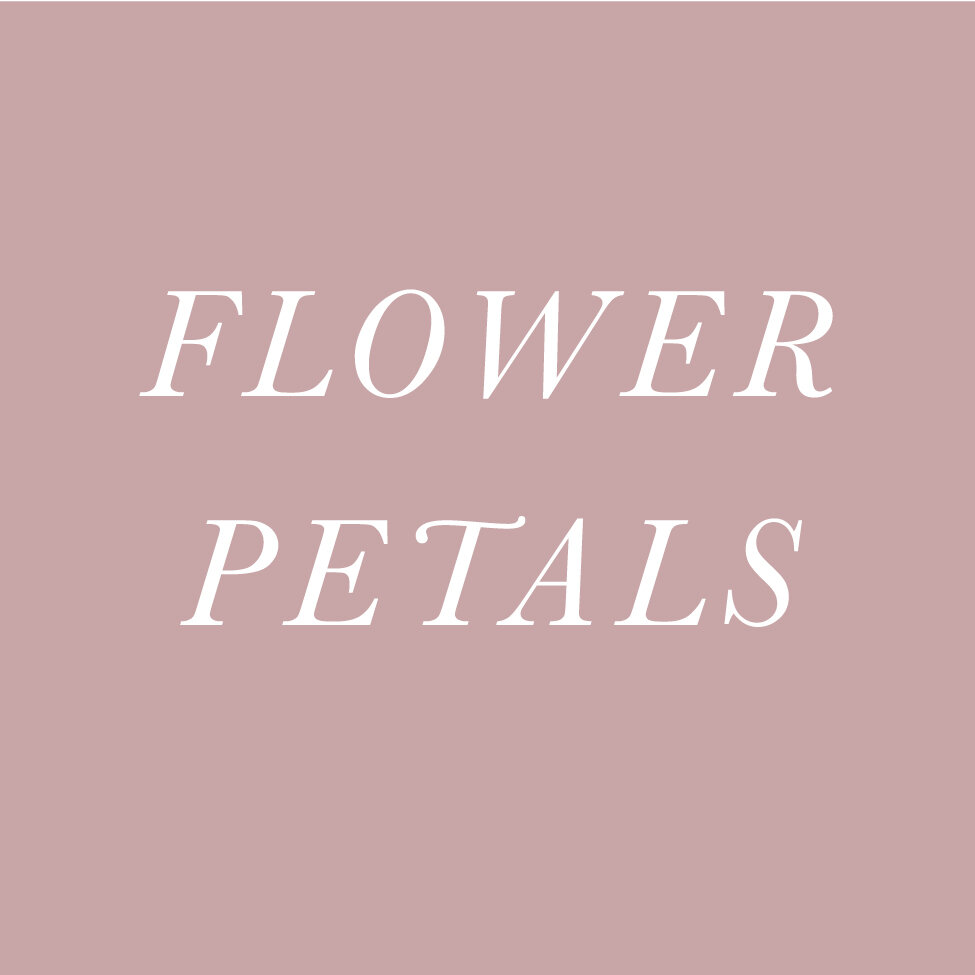 Mum's Mauve Flower Petals